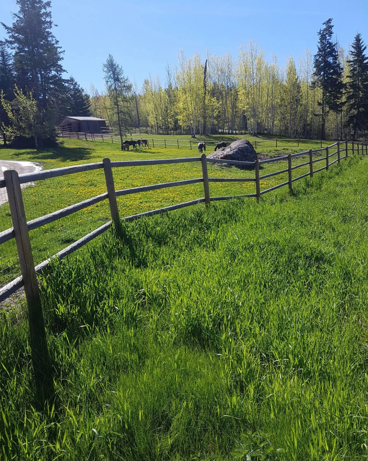 Nordika Farm