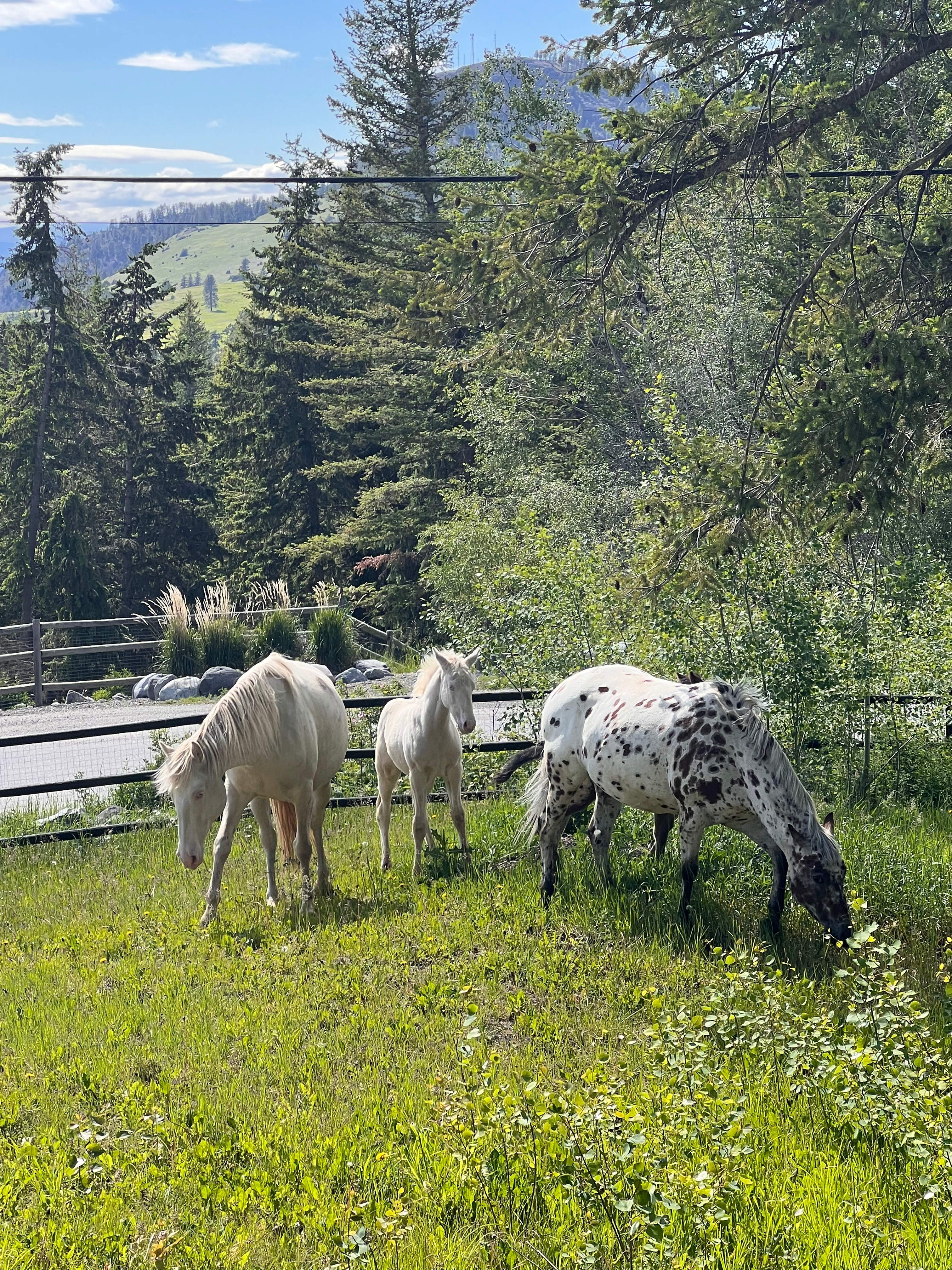 Nordika Farm