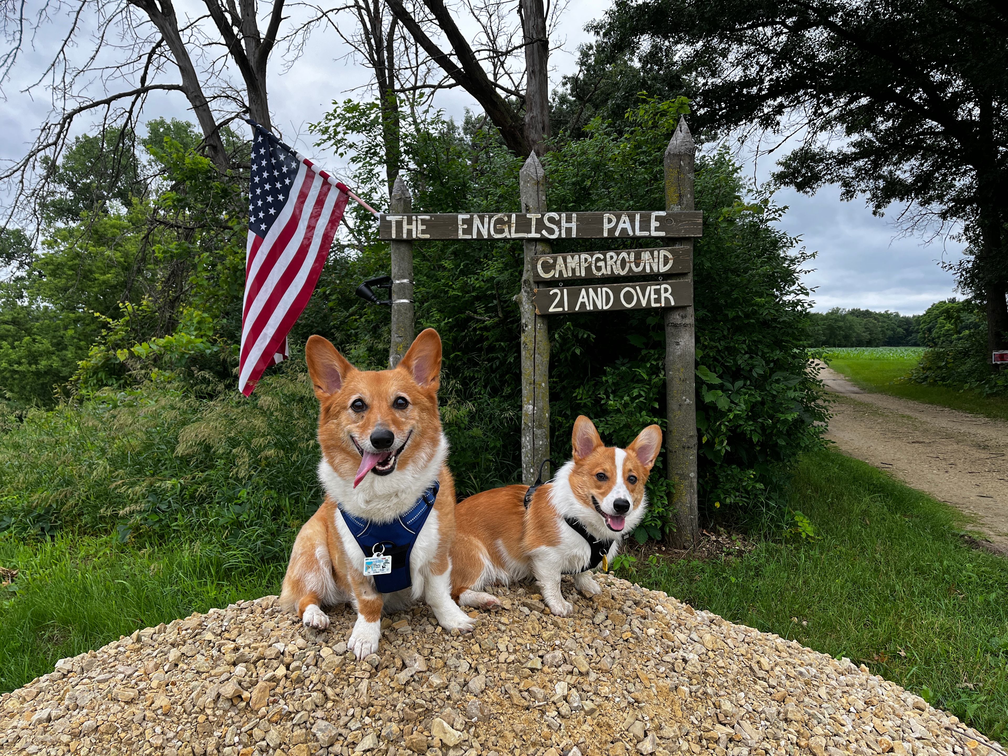 The English Pale Campground (21+)