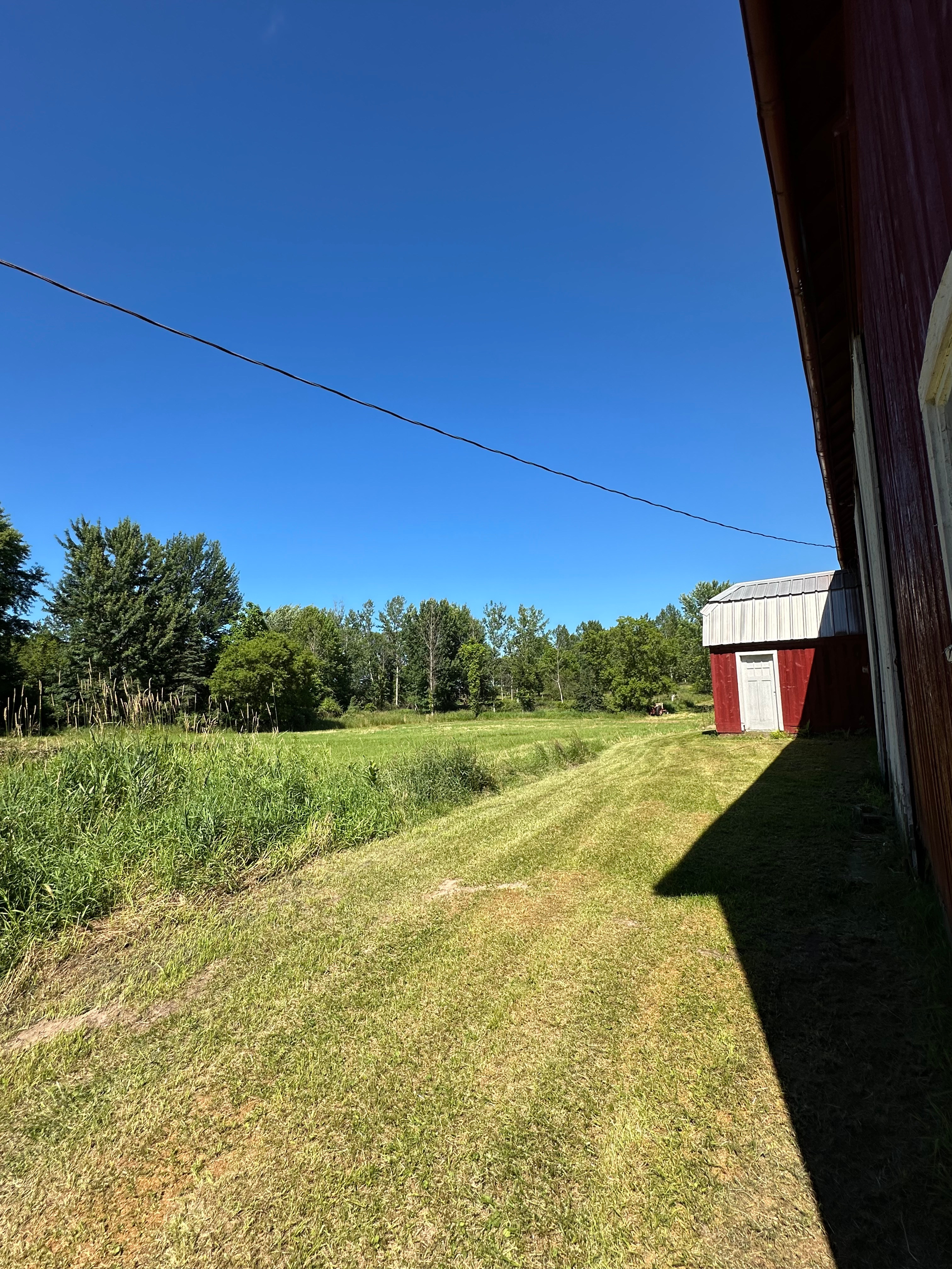 Standing looking northeast from the backside of the barn. 