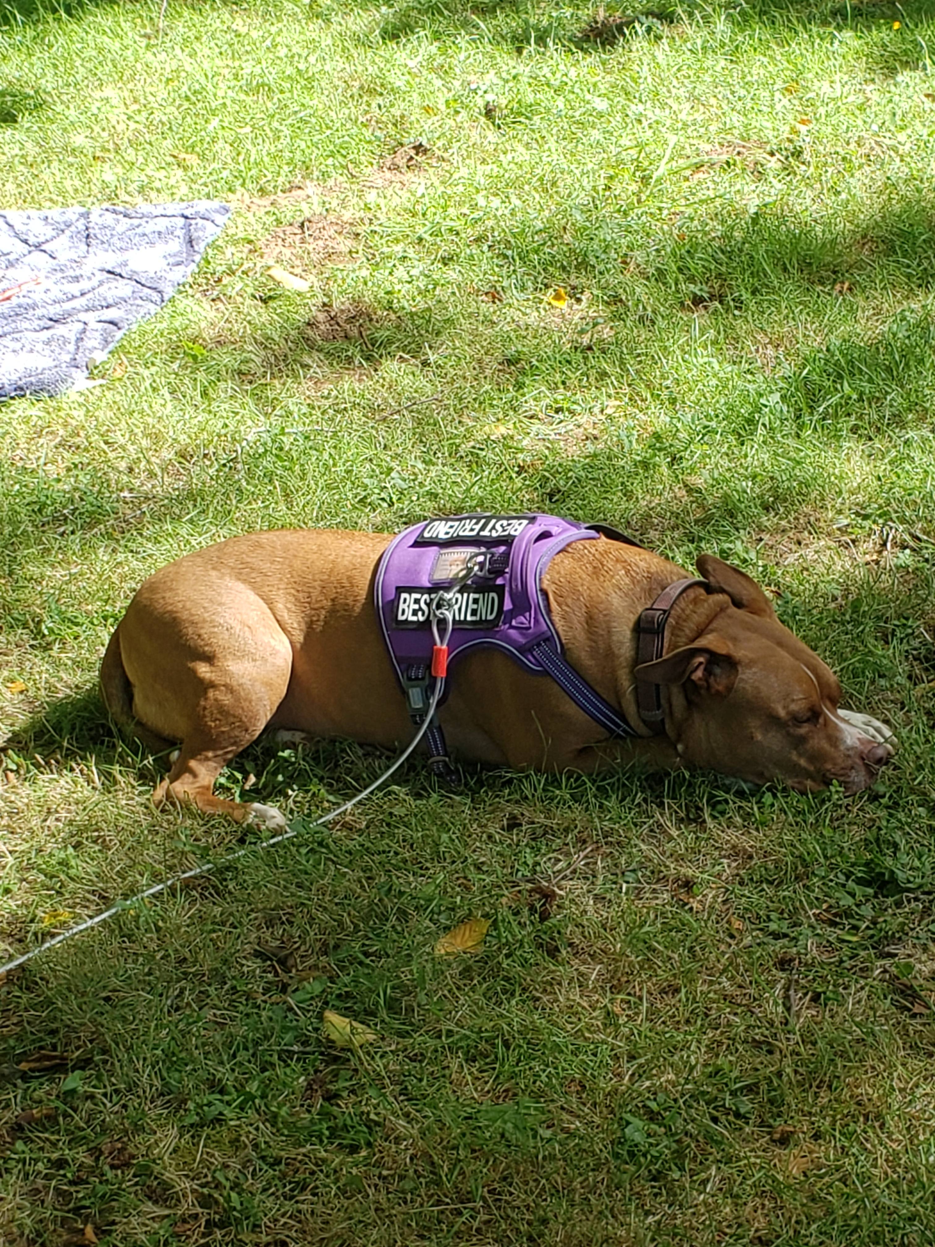 Breeze Valley Farm & Creekside Camp