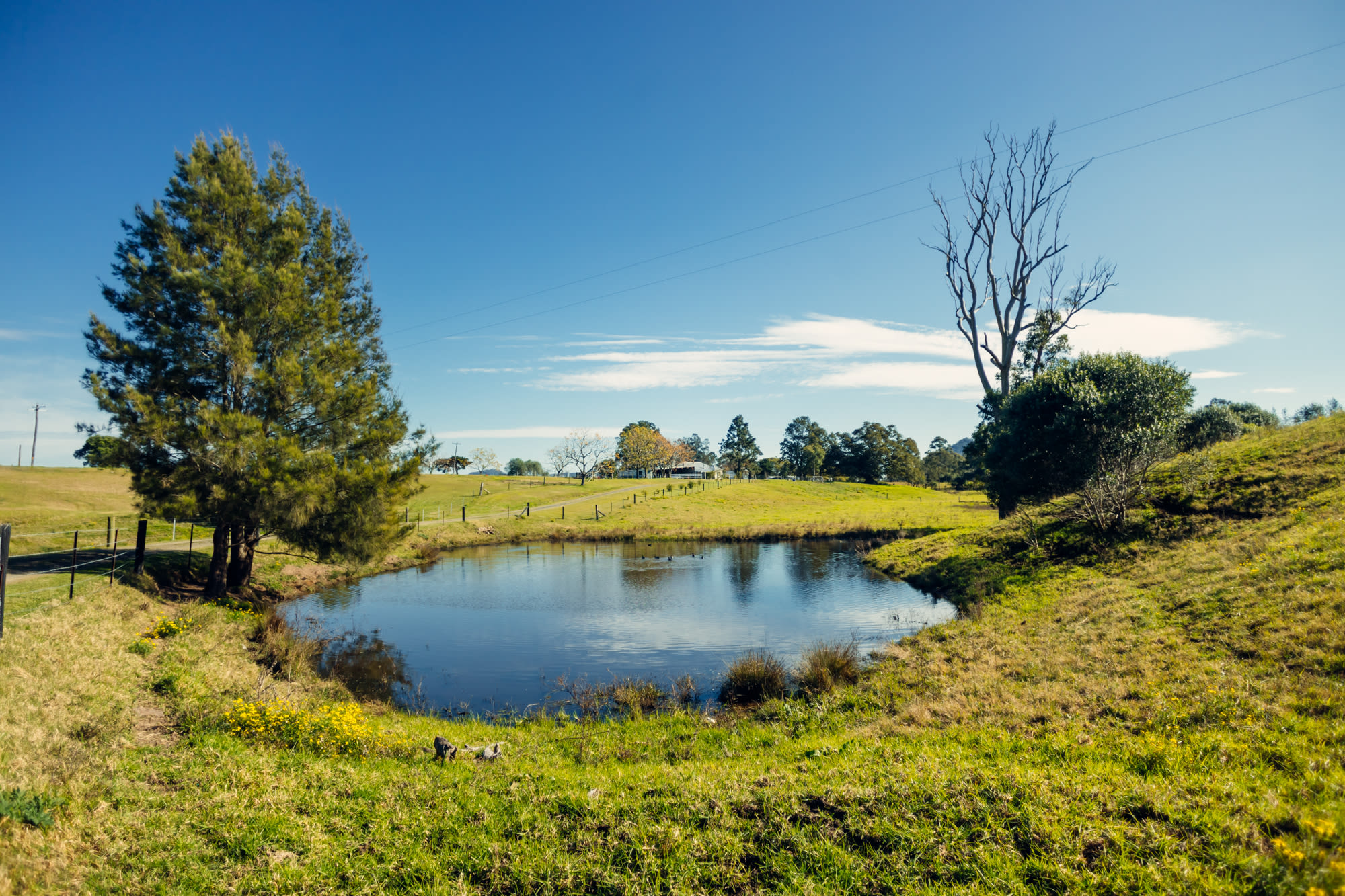 Overlooking the property