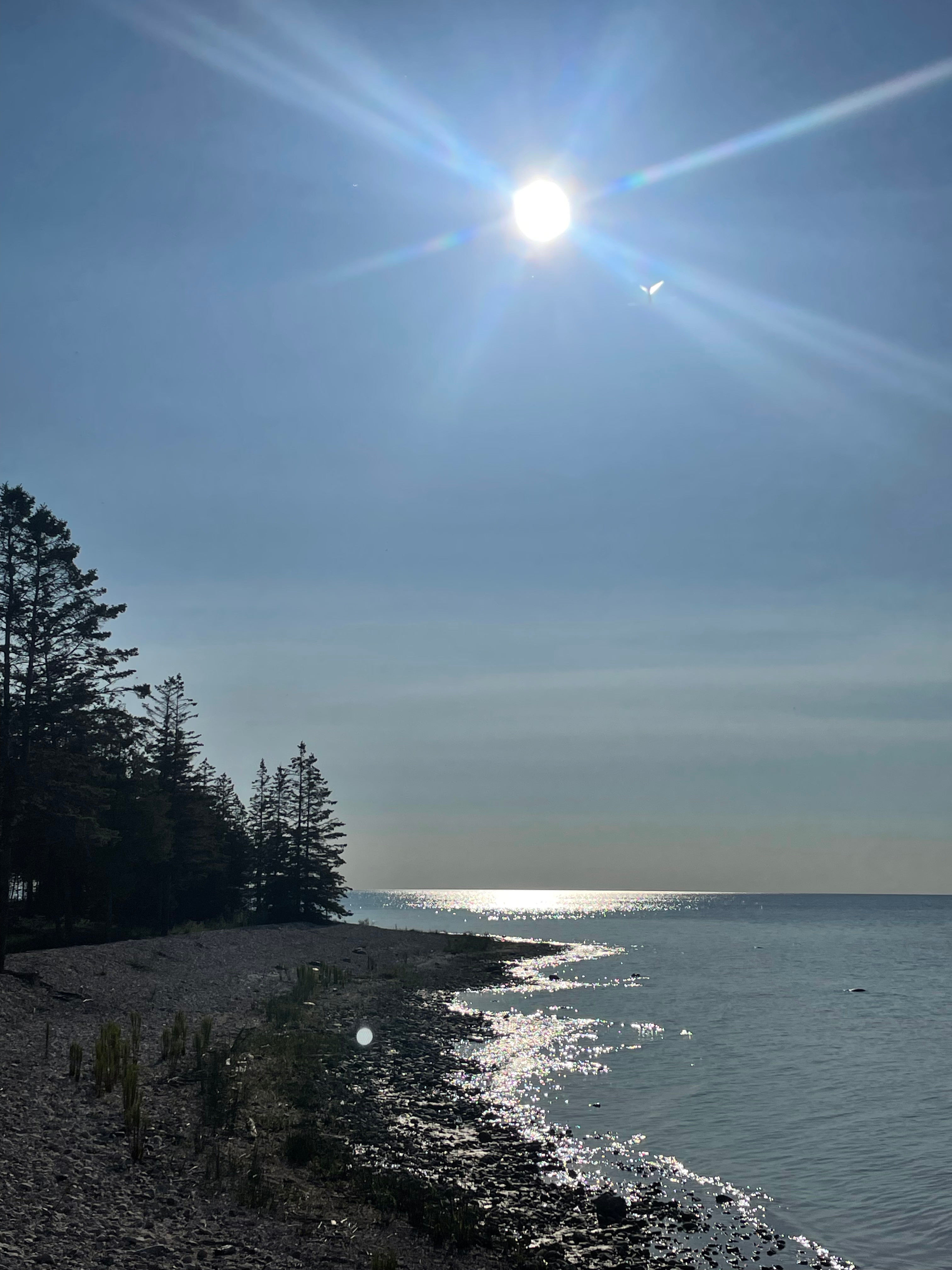 Island Yurts & Jasper Moss Retreat