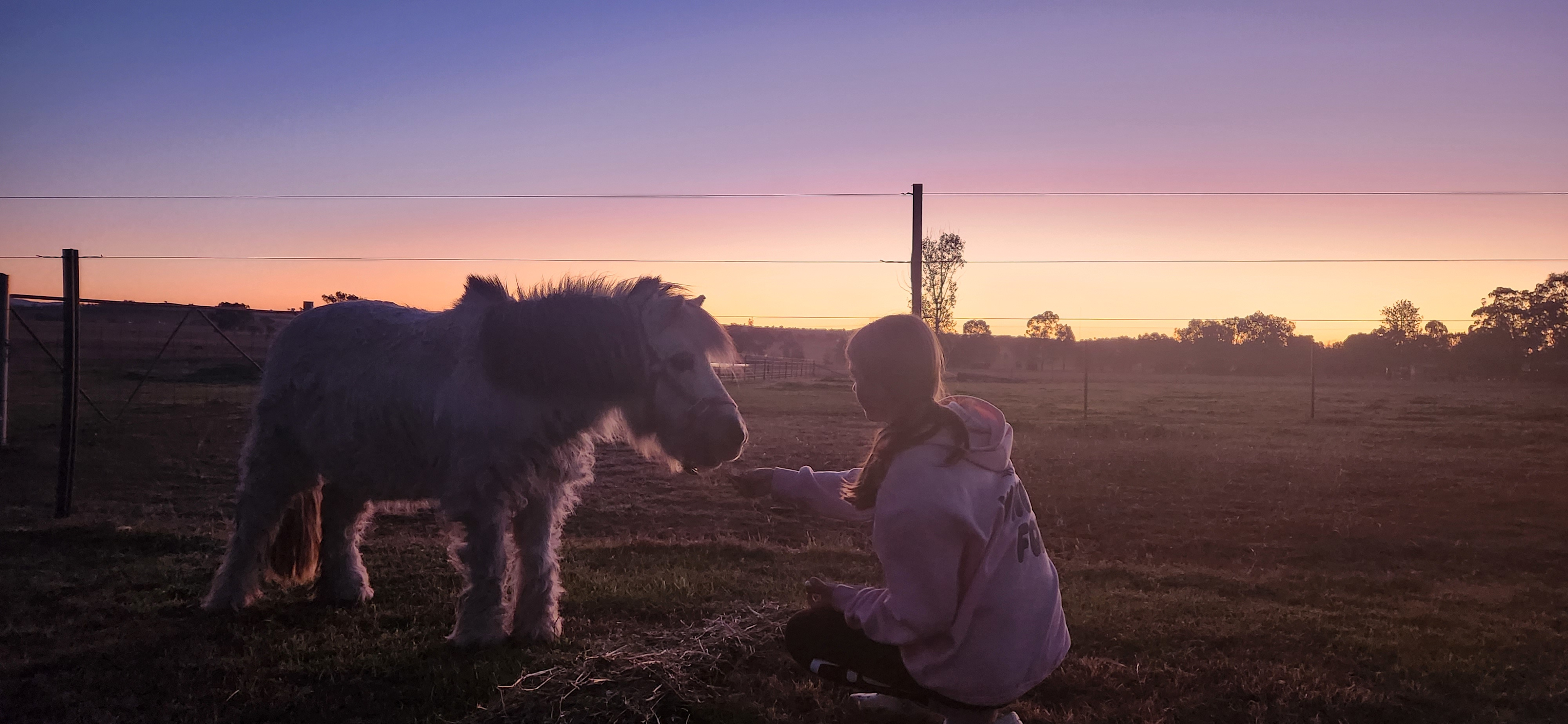 Sheffield B&B Farm stay Tamworth