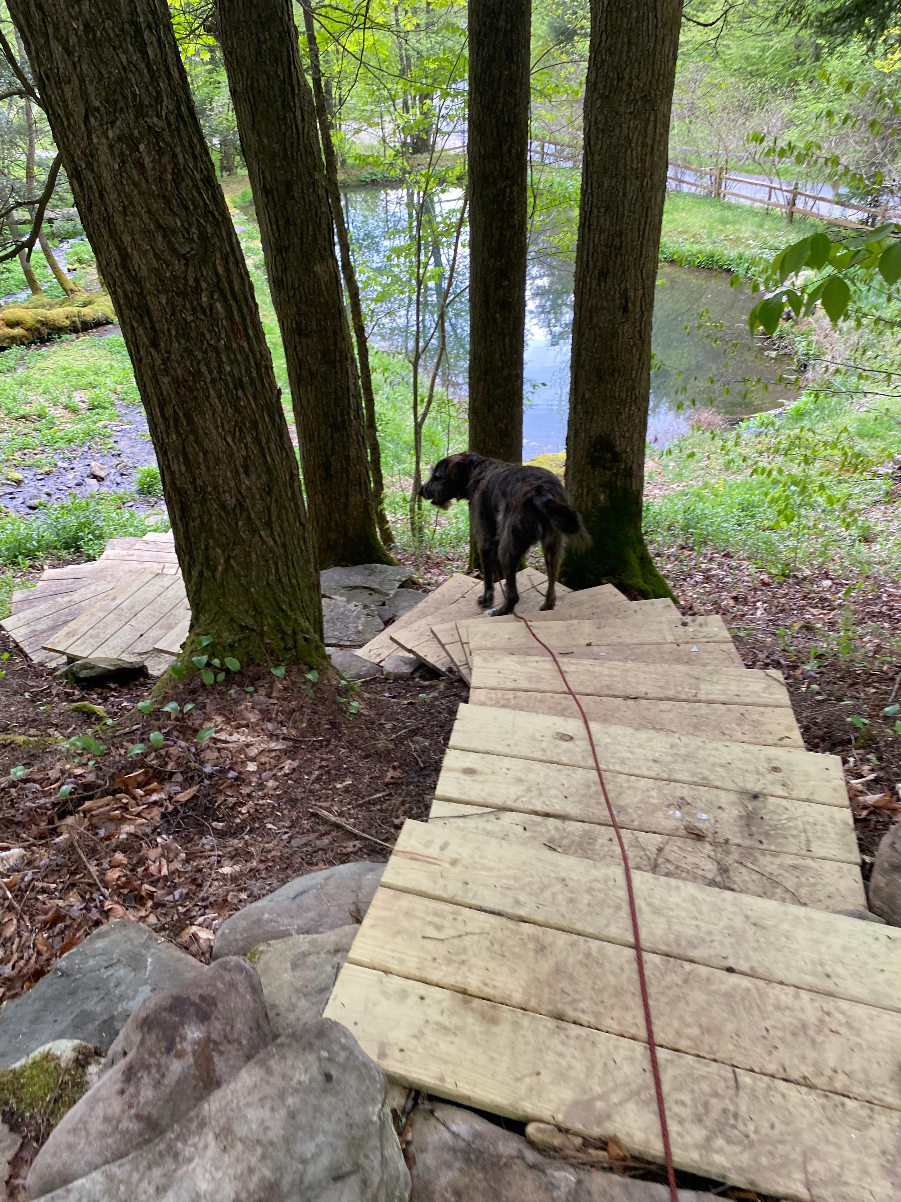 Camp Firefly Glamping!!