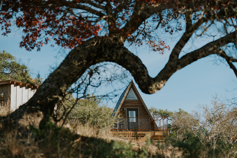 The Charmadillo: Nature Retreat