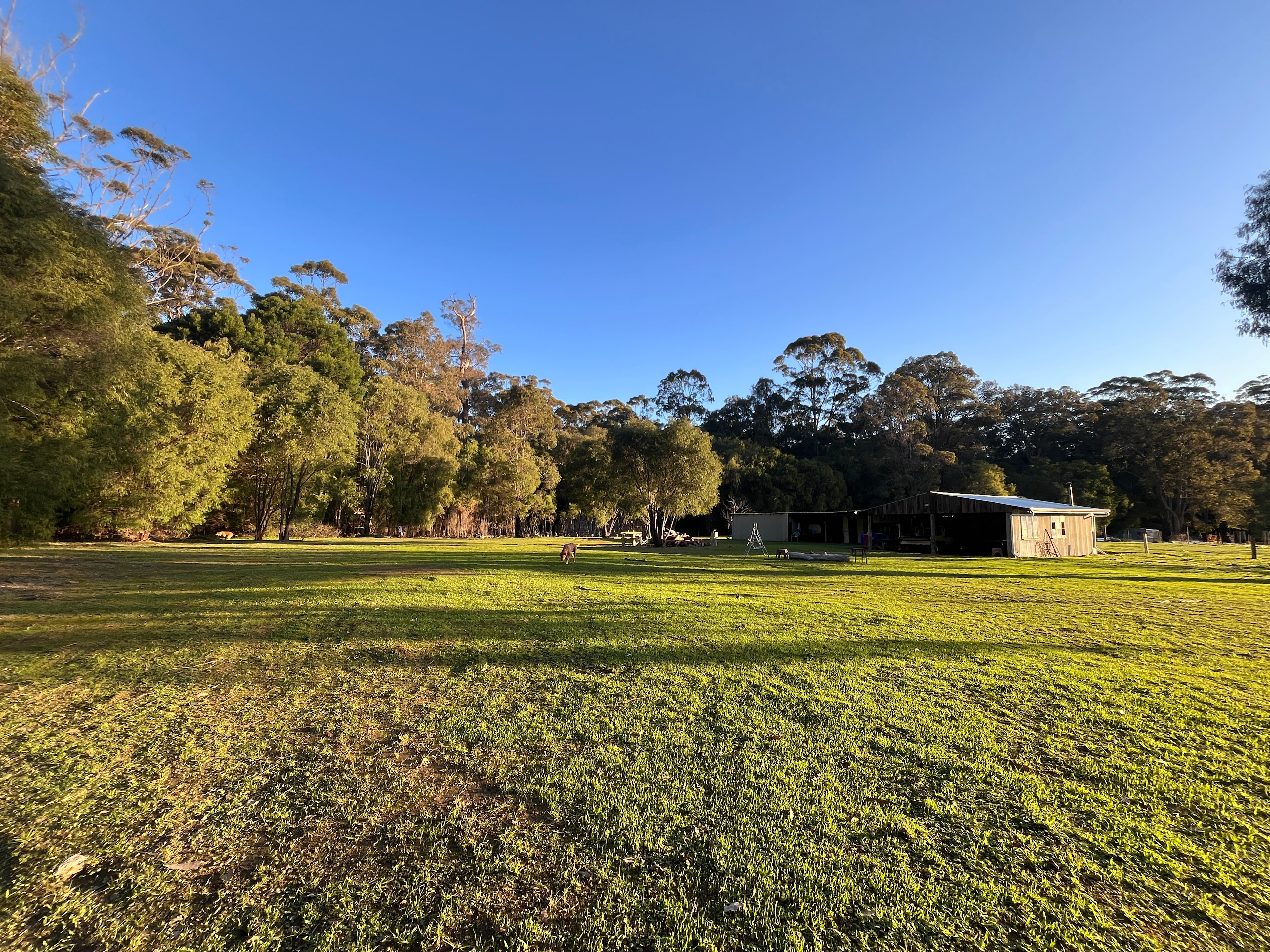 Large cleared paddock space to park up and kick the footy.