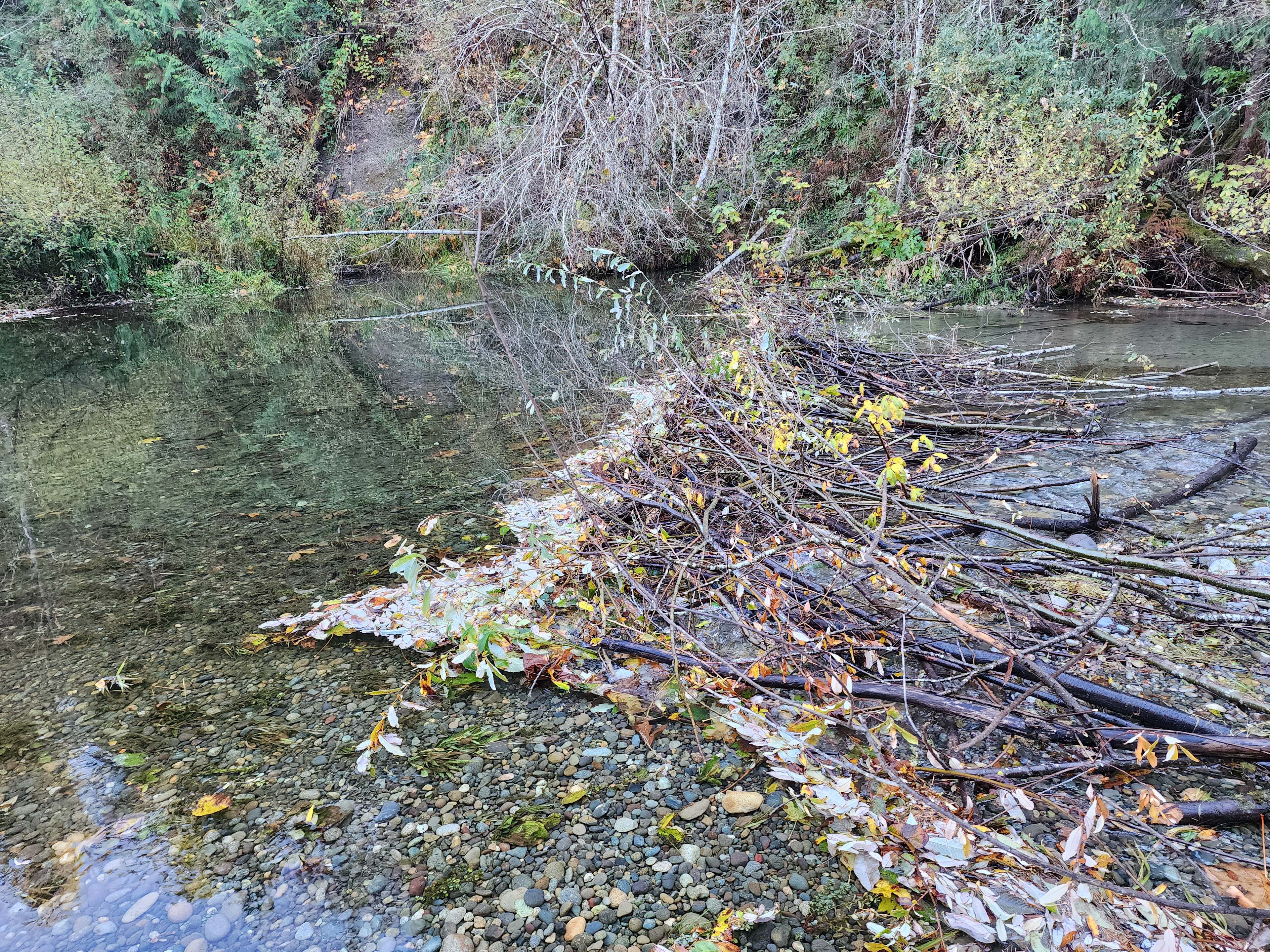 Tahuya River Lodge Campground