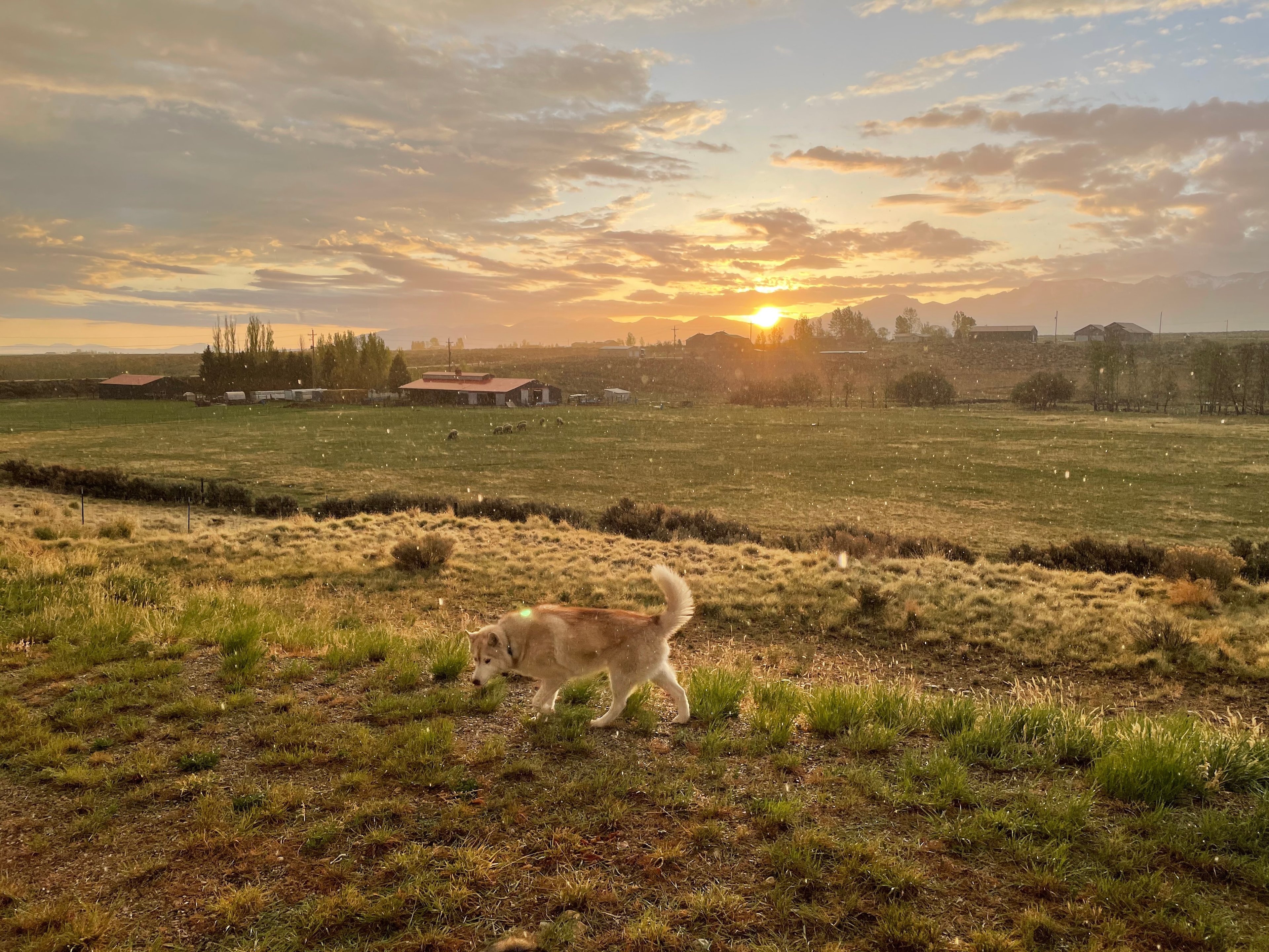 Roughin It At Rabbit Ears