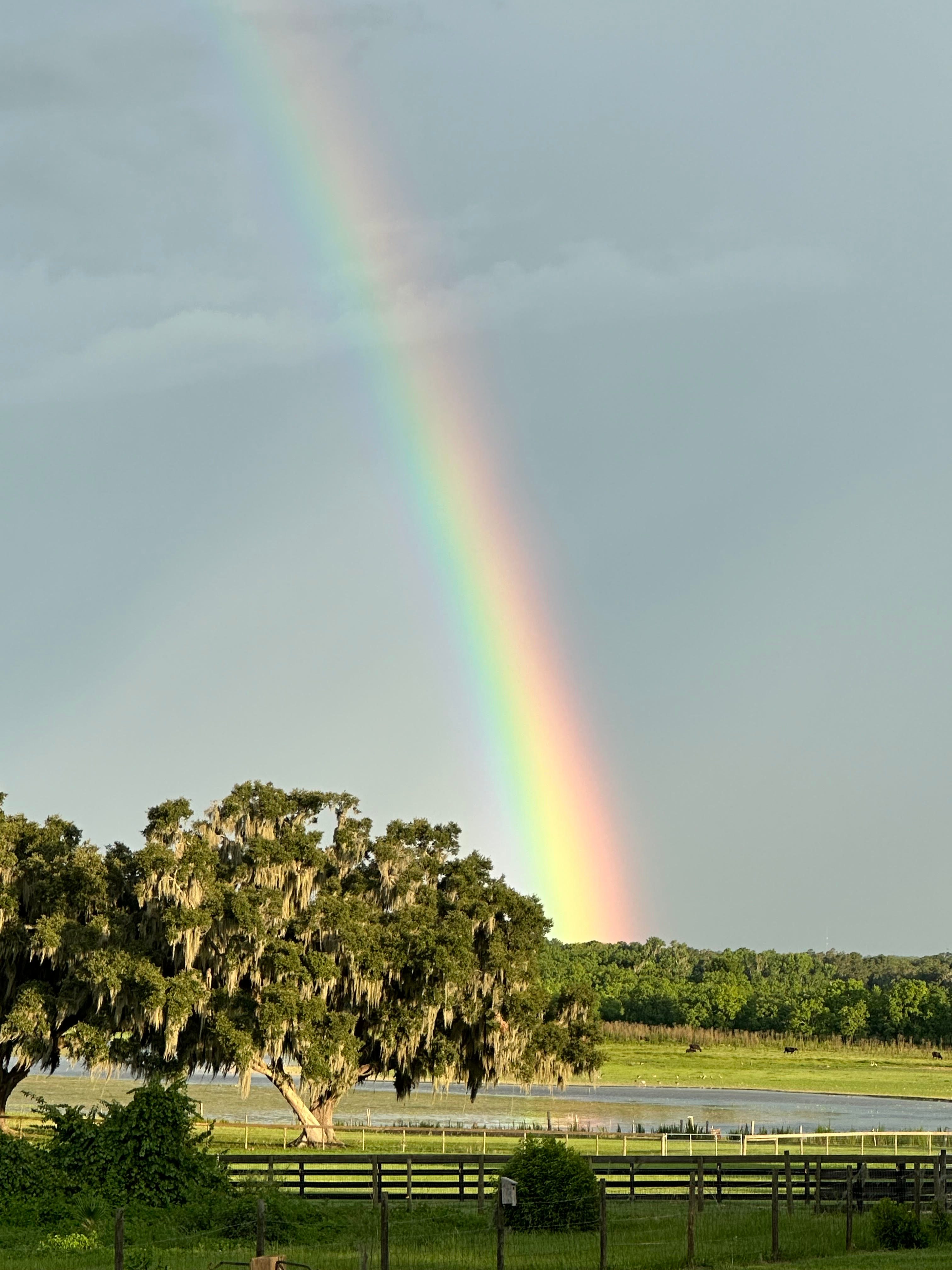 Ancient Oaks Retreat