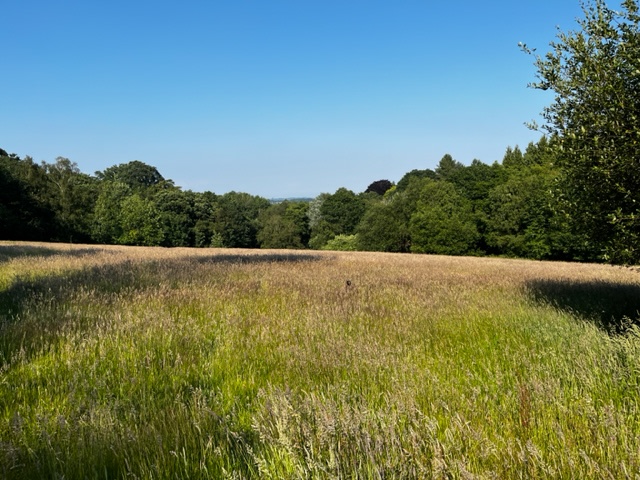 Secluded AONB group glamping