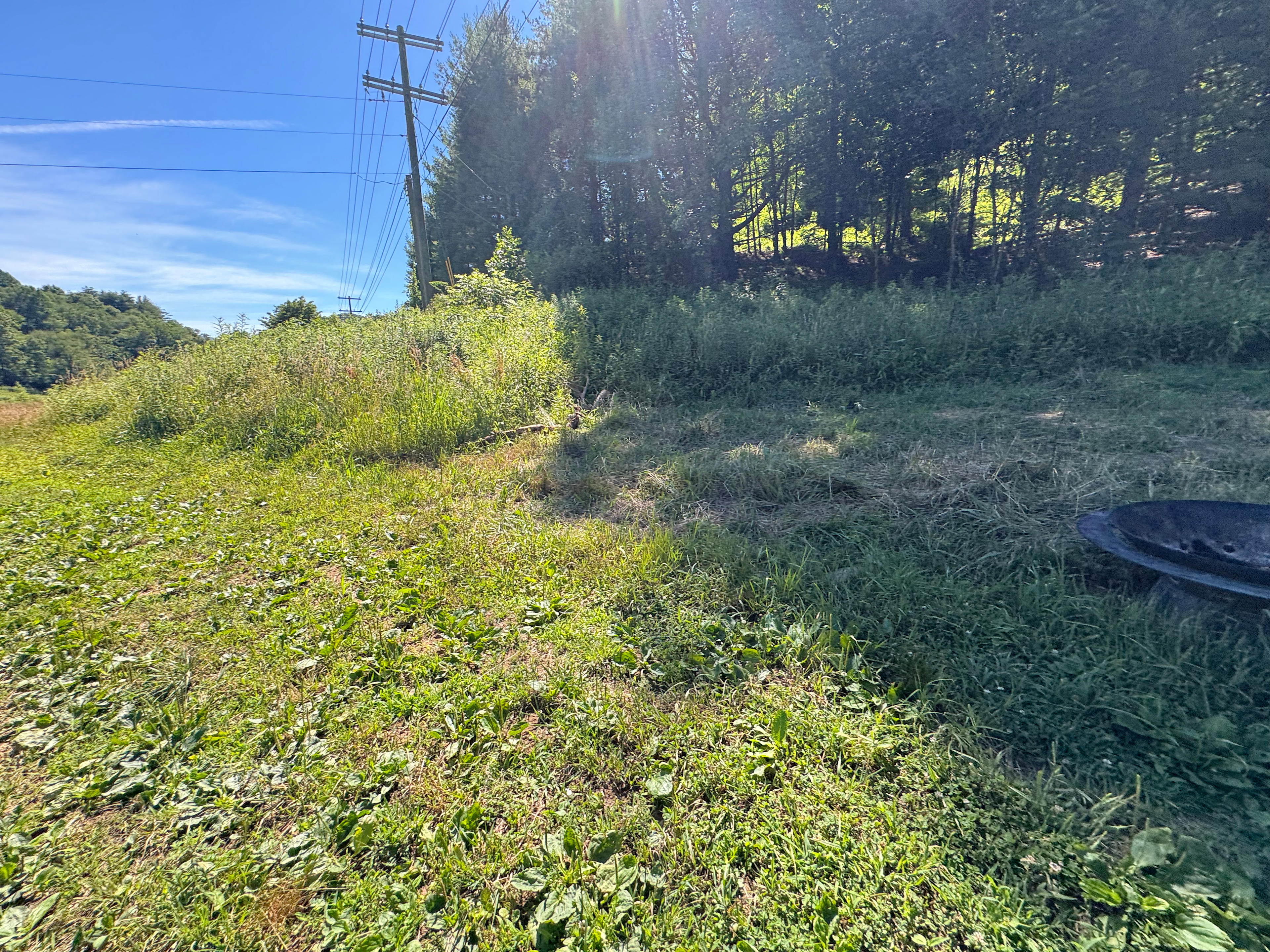 Campsites at Shipley Farms