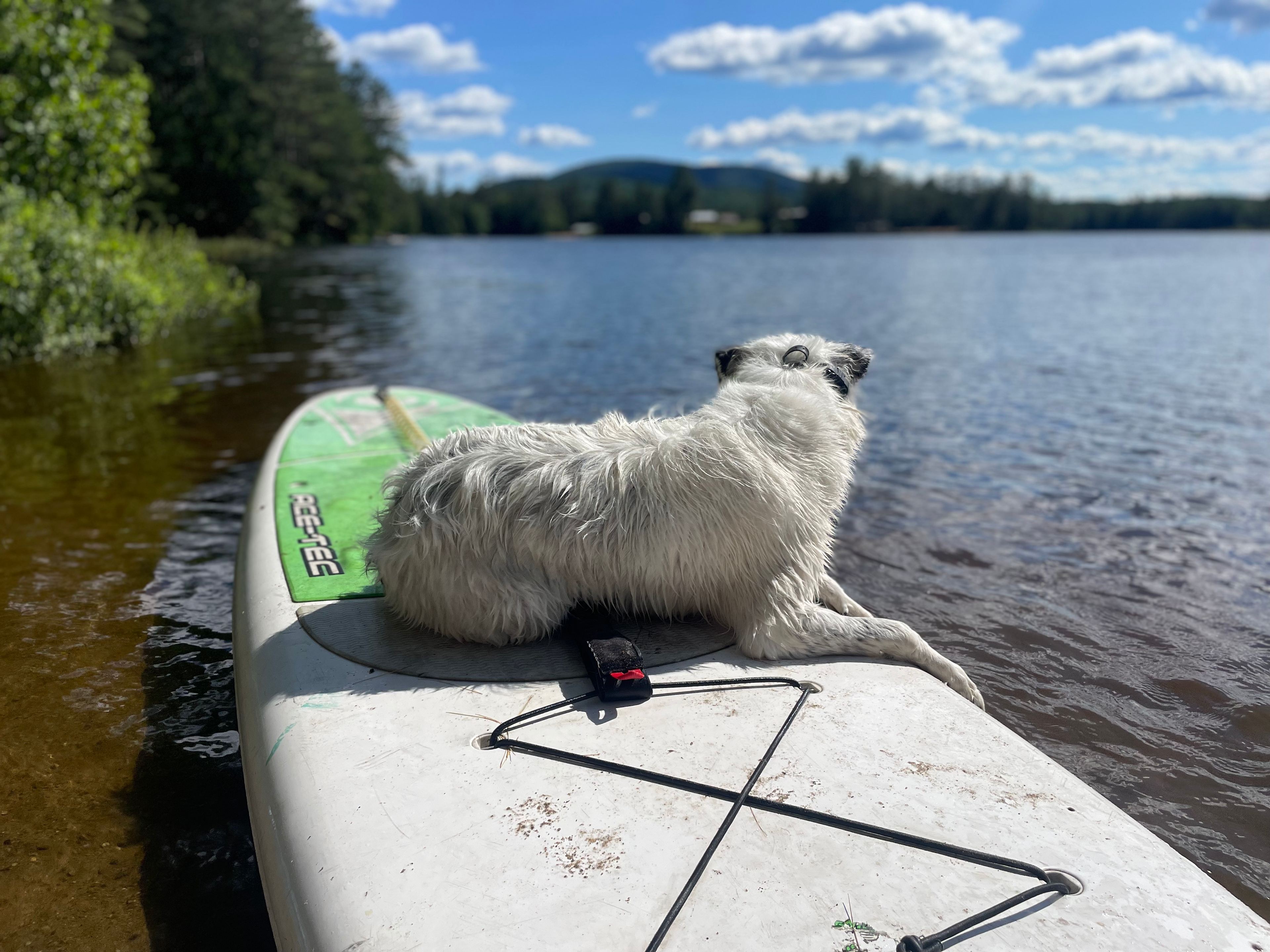 The Pines Lakeside Canoe & Camping
