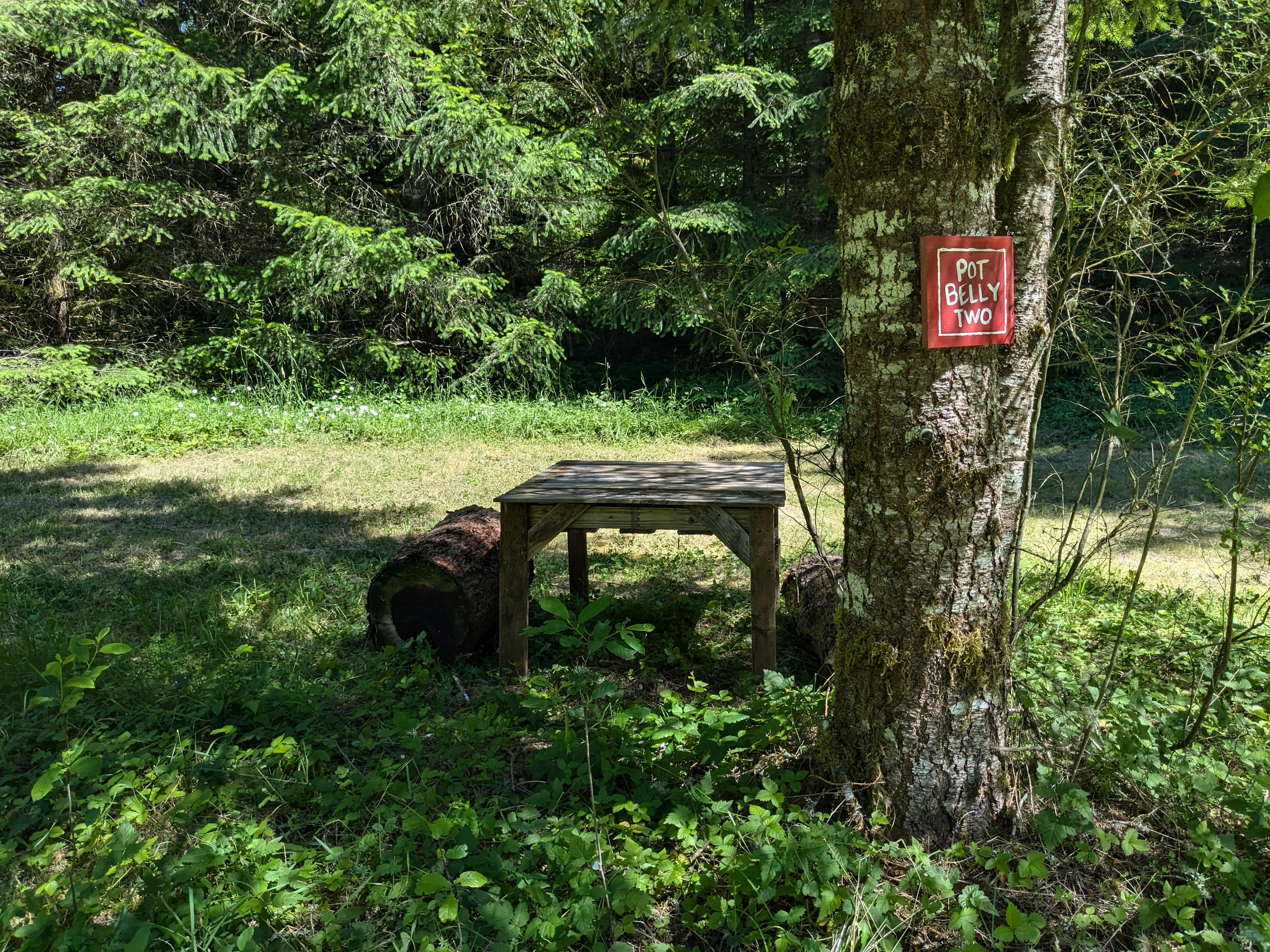 Hoodland Basecamp at Scrumpy Farest
