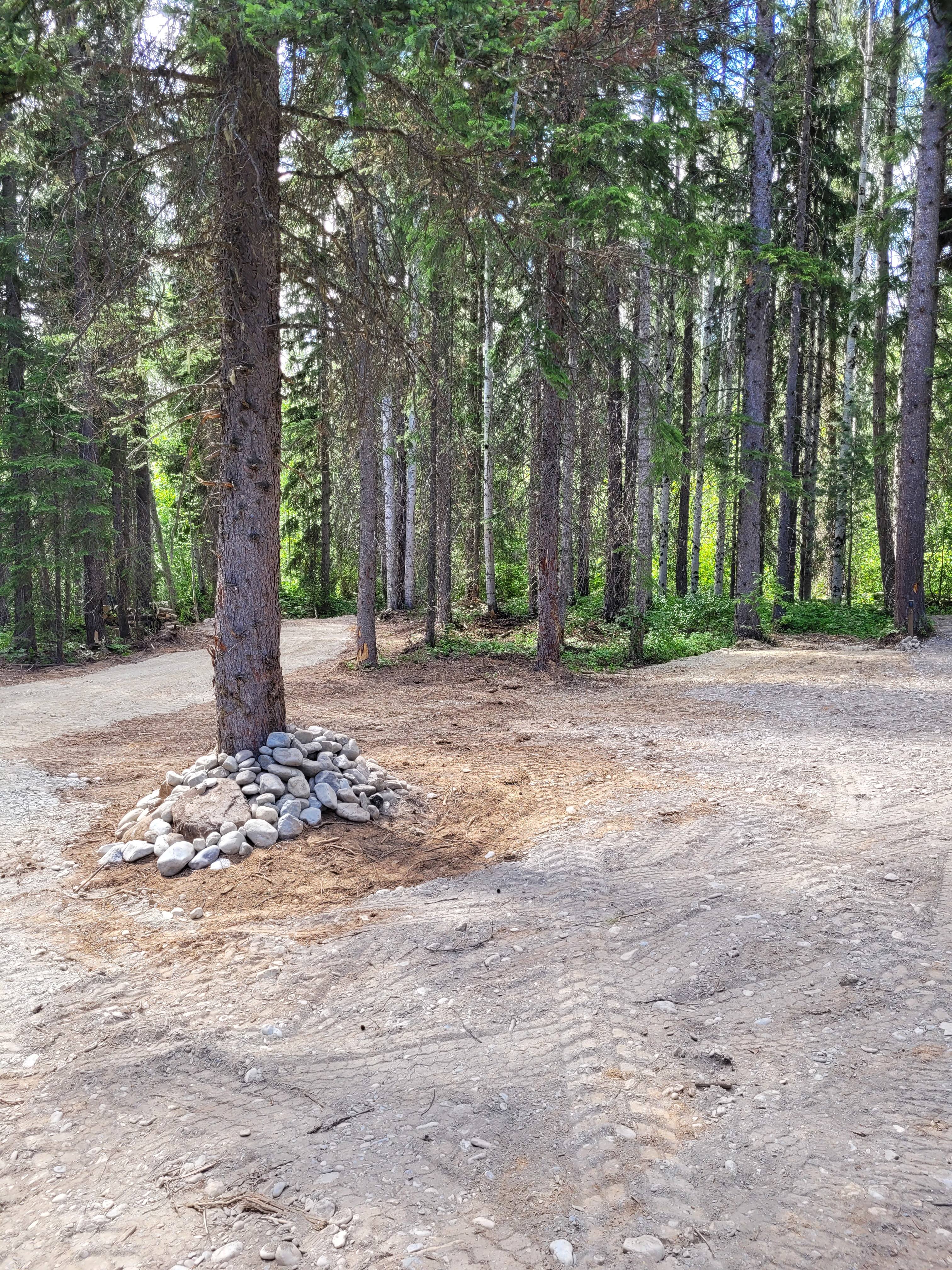 Whispering Forest Campground