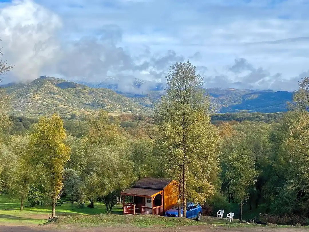 “The Cozy” Tiny Cabin