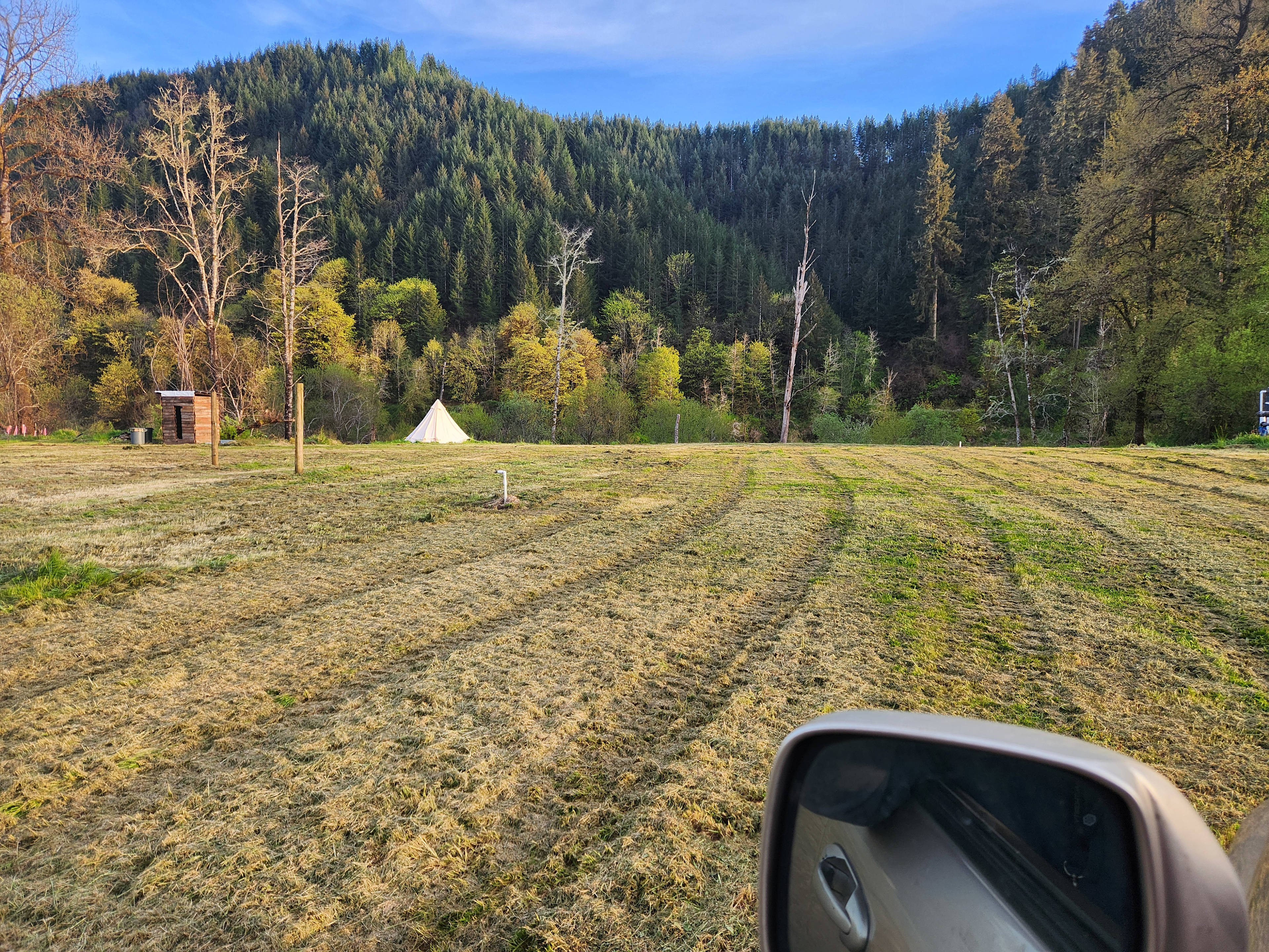 Tyee Farm