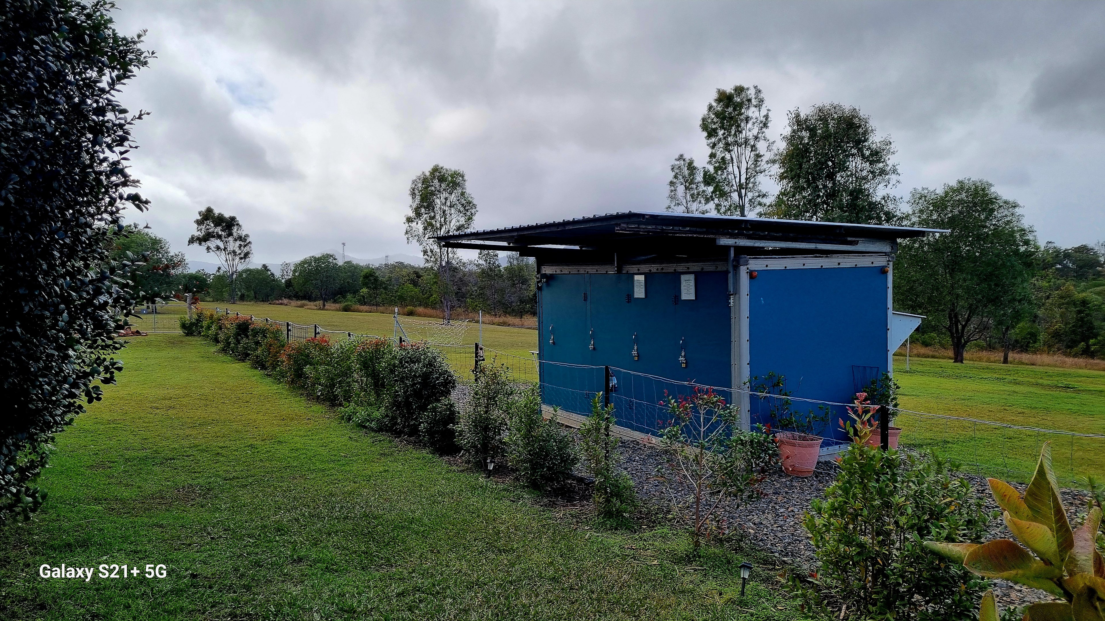 Fig Tree Camp