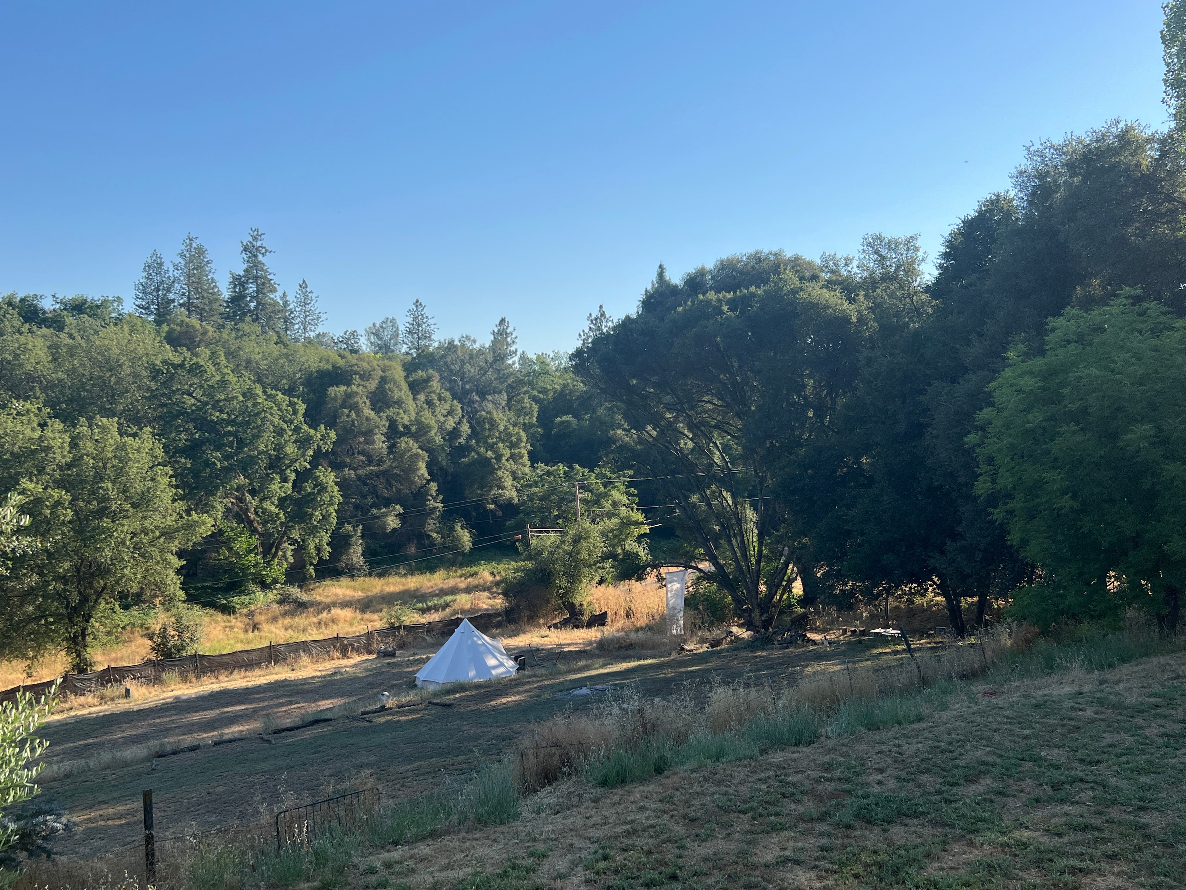 Sprawling Columbia Glamp Site