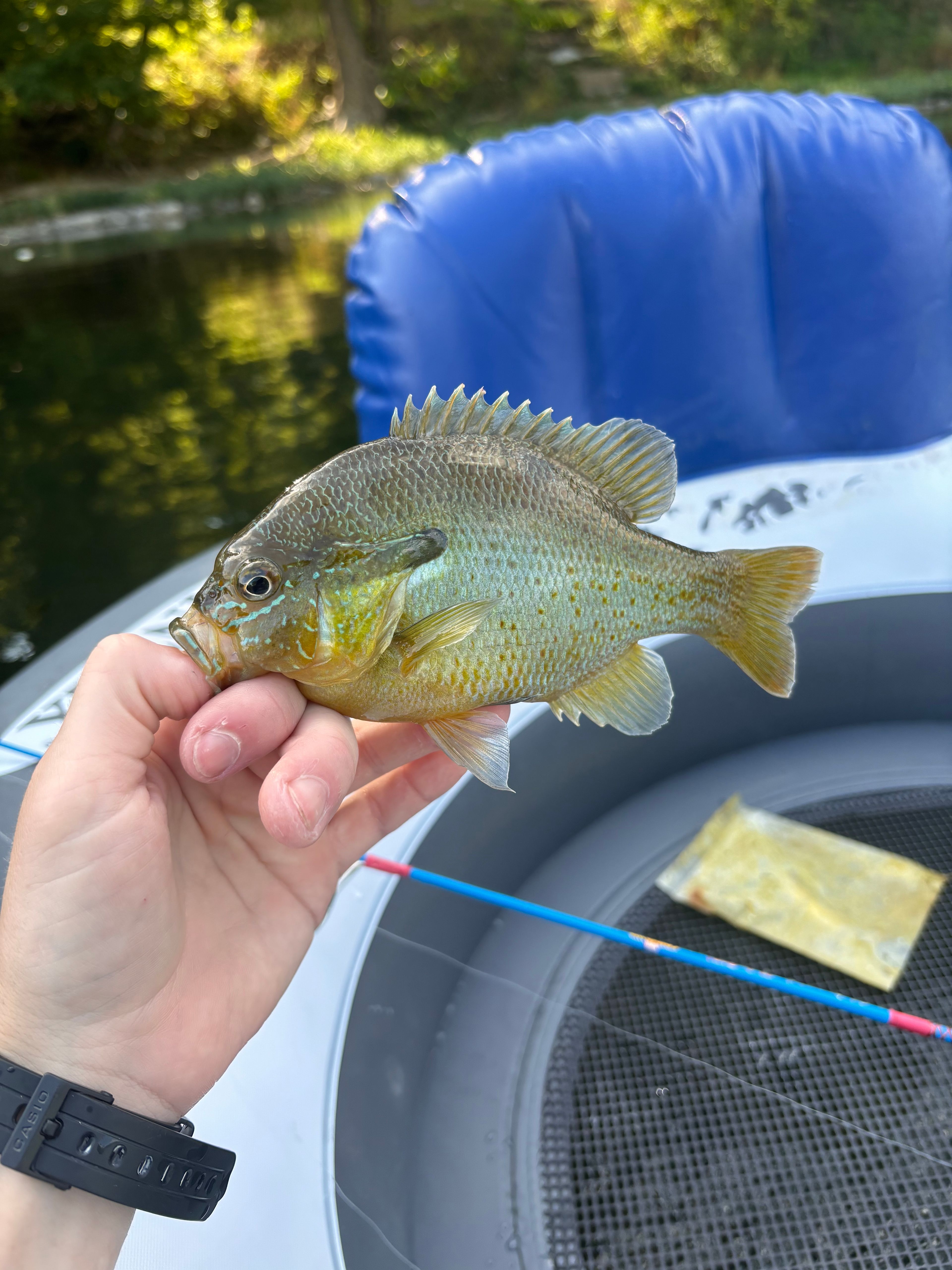 Shenandoah Retreat by Hazard Mill