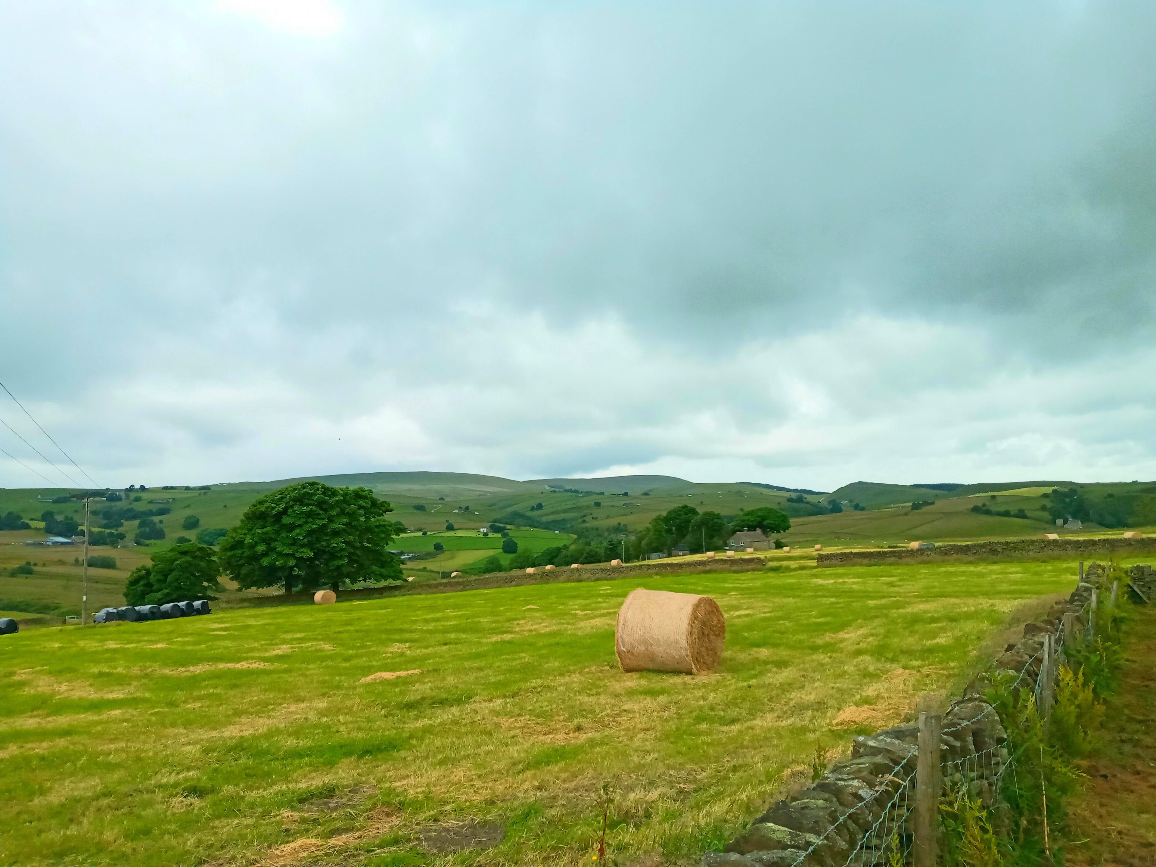 Chrome Hill campers
