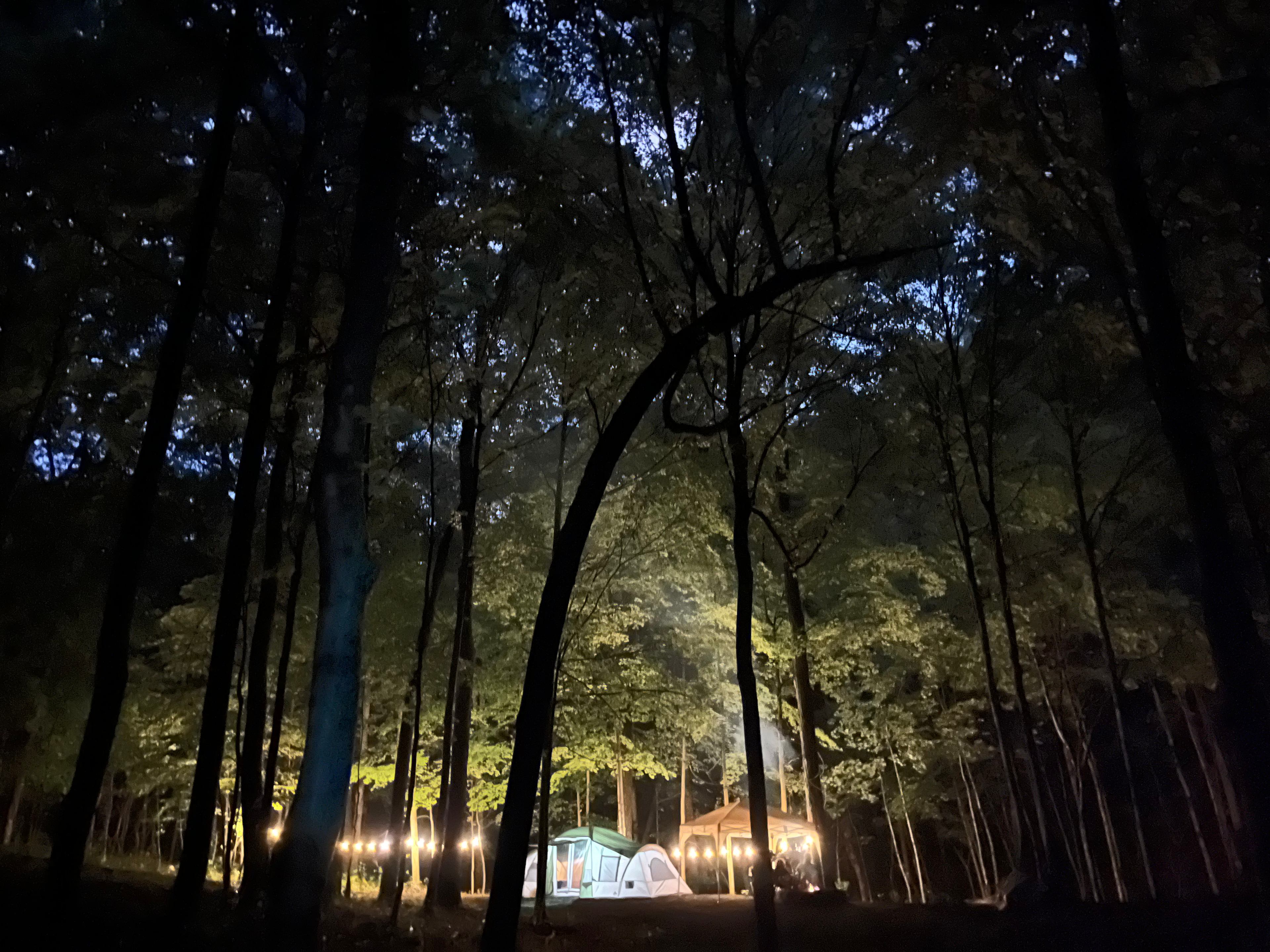 My Spot-Private Forest Campsite