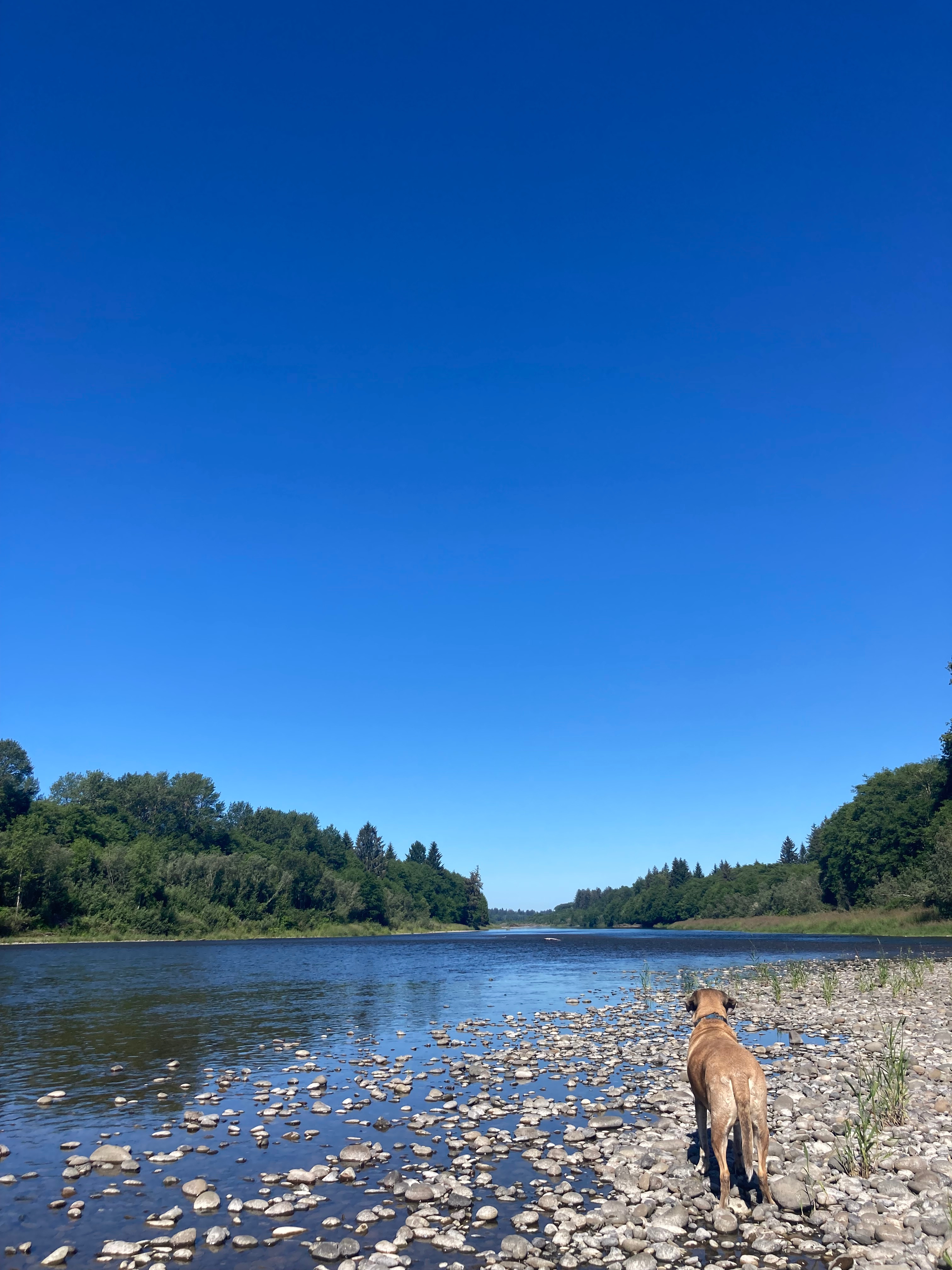 Shangri-la Quileute River.
