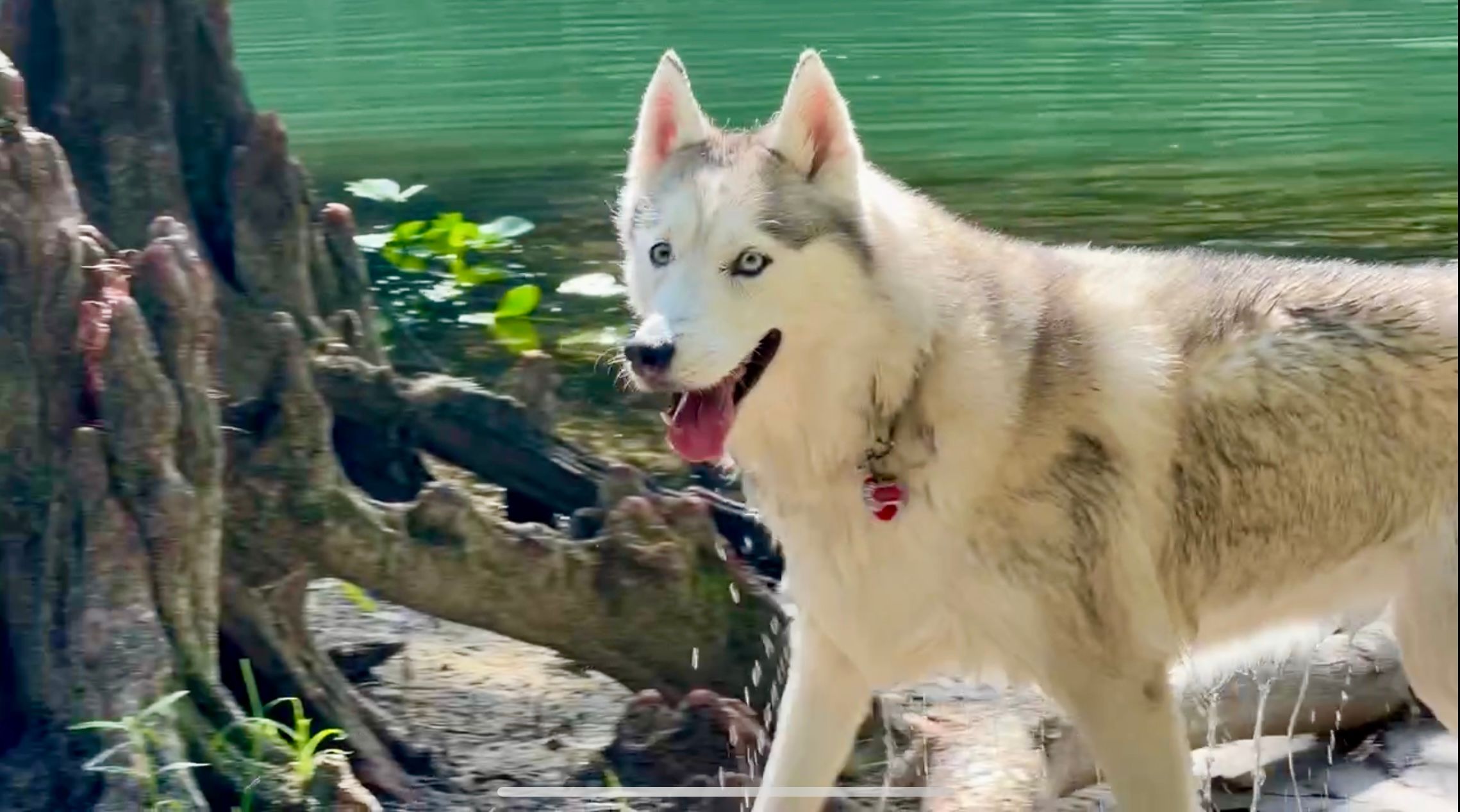 J & T Hideaway / Silver Springs, FL