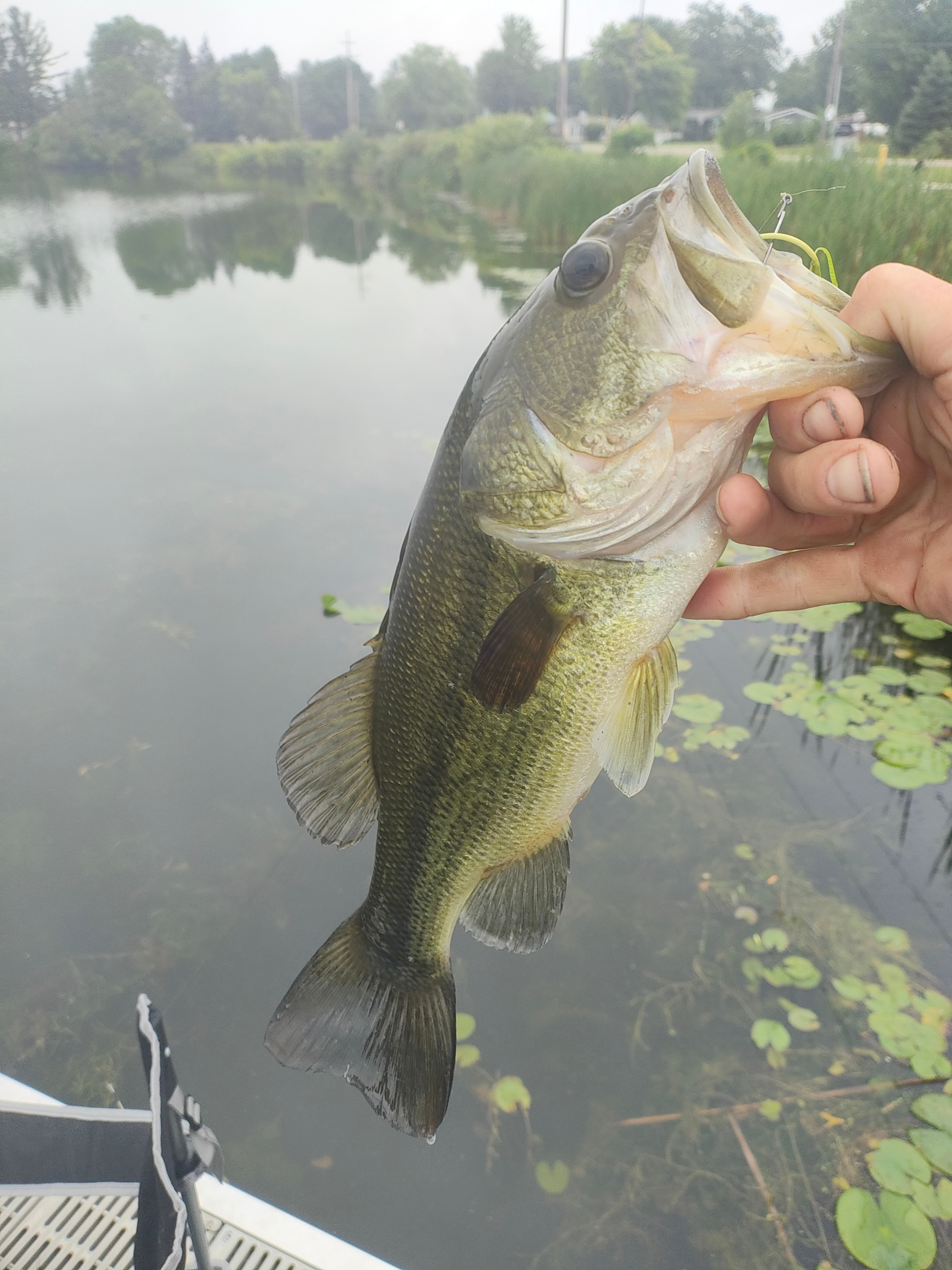 The Crow’s Nest Forest Camp