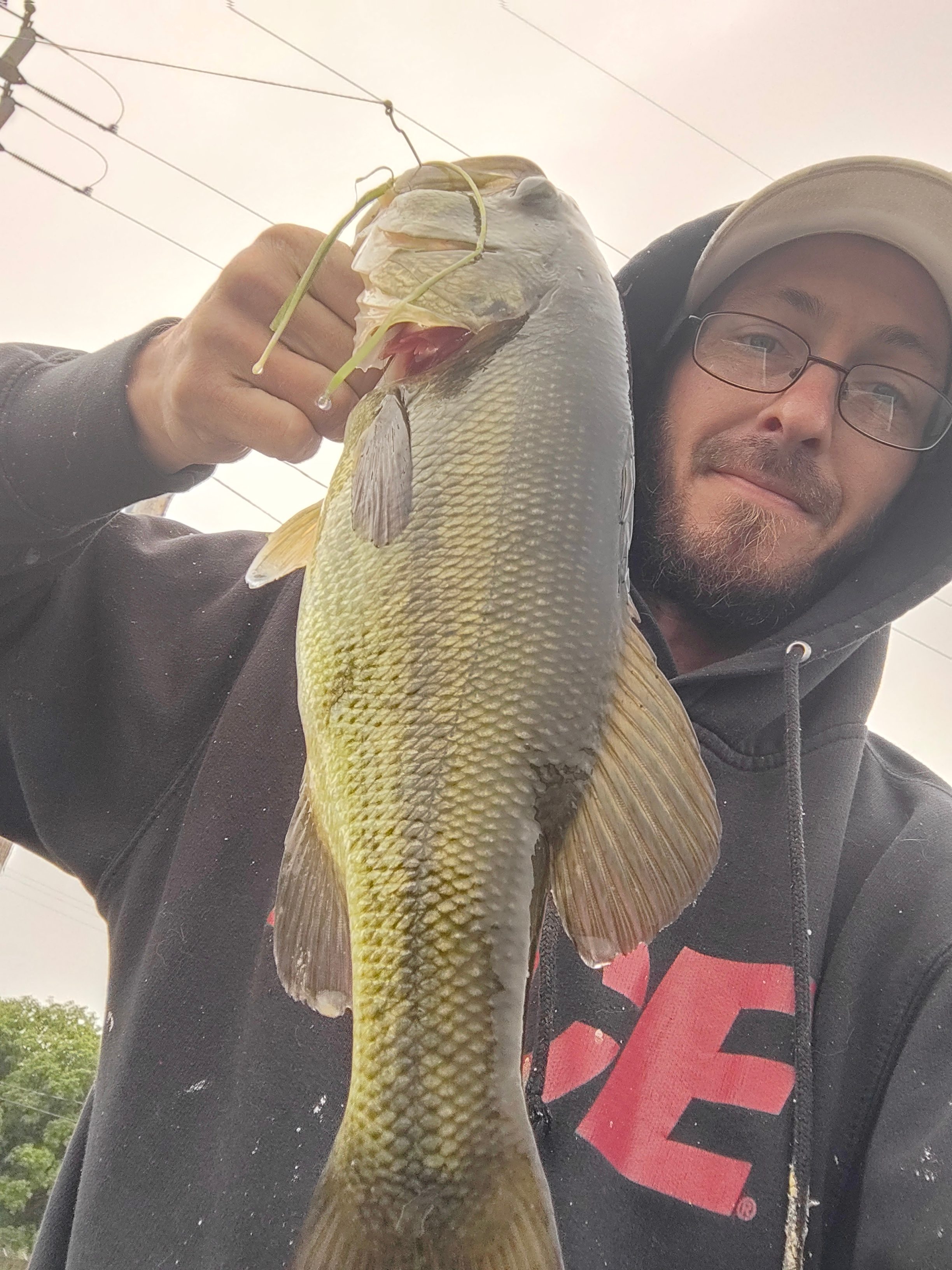 The Crow’s Nest Forest Camp