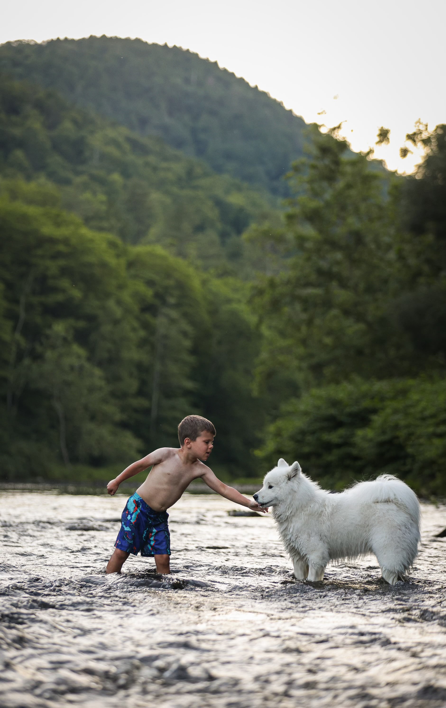Red Gate Farm/ DuGrenier Glass Art