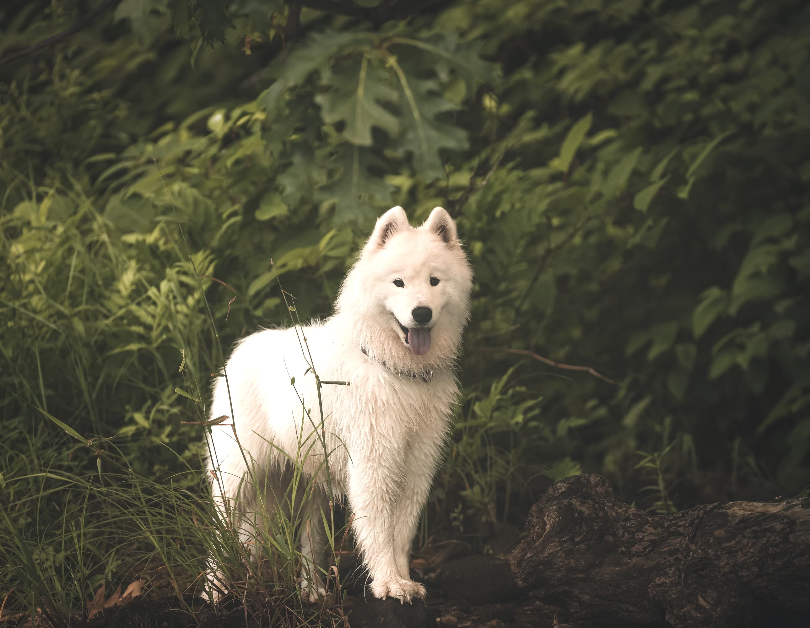 Red Gate Farm/ DuGrenier Glass Art