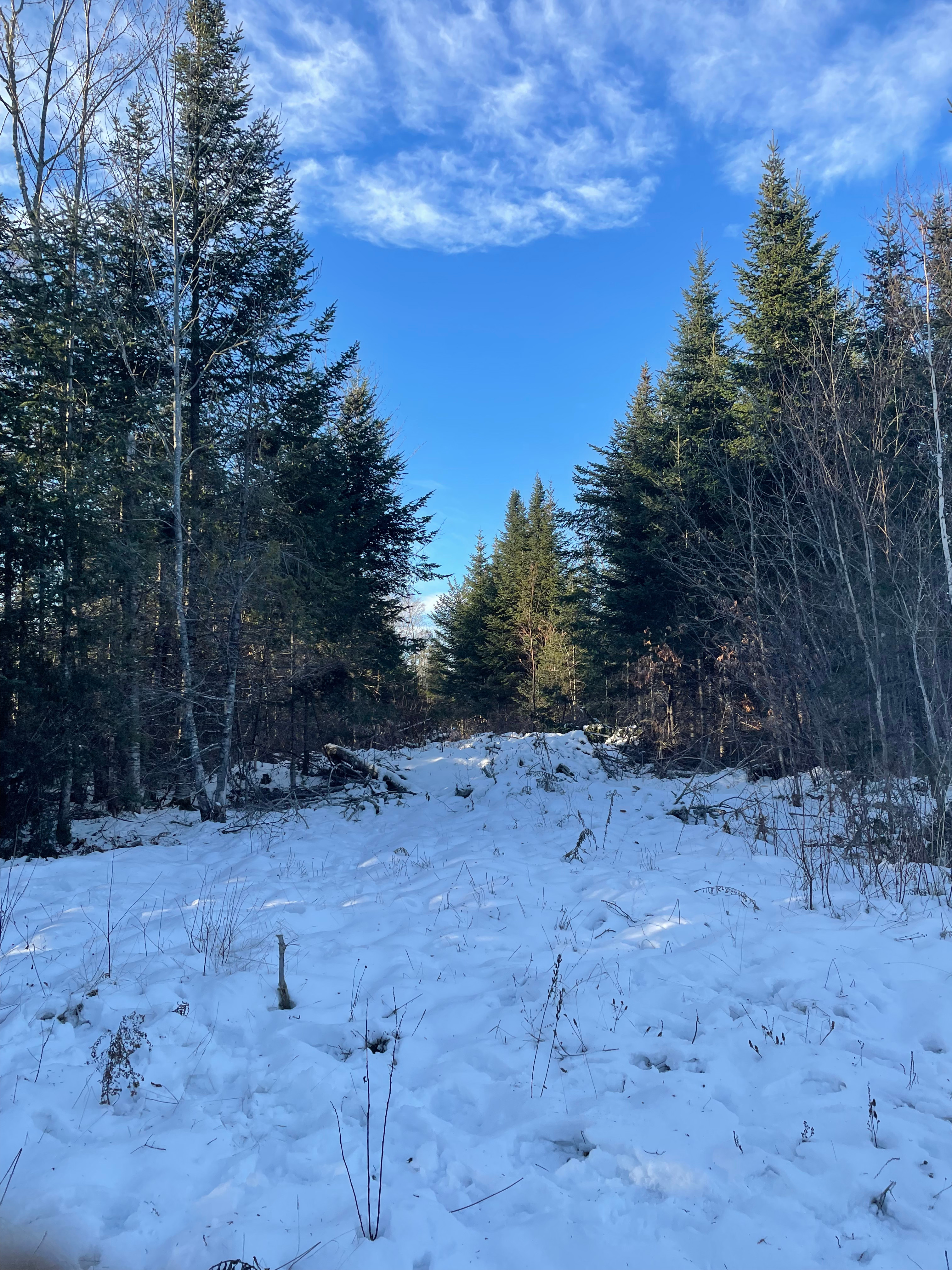 Tranquil Wilderness Sanctuary Maine
