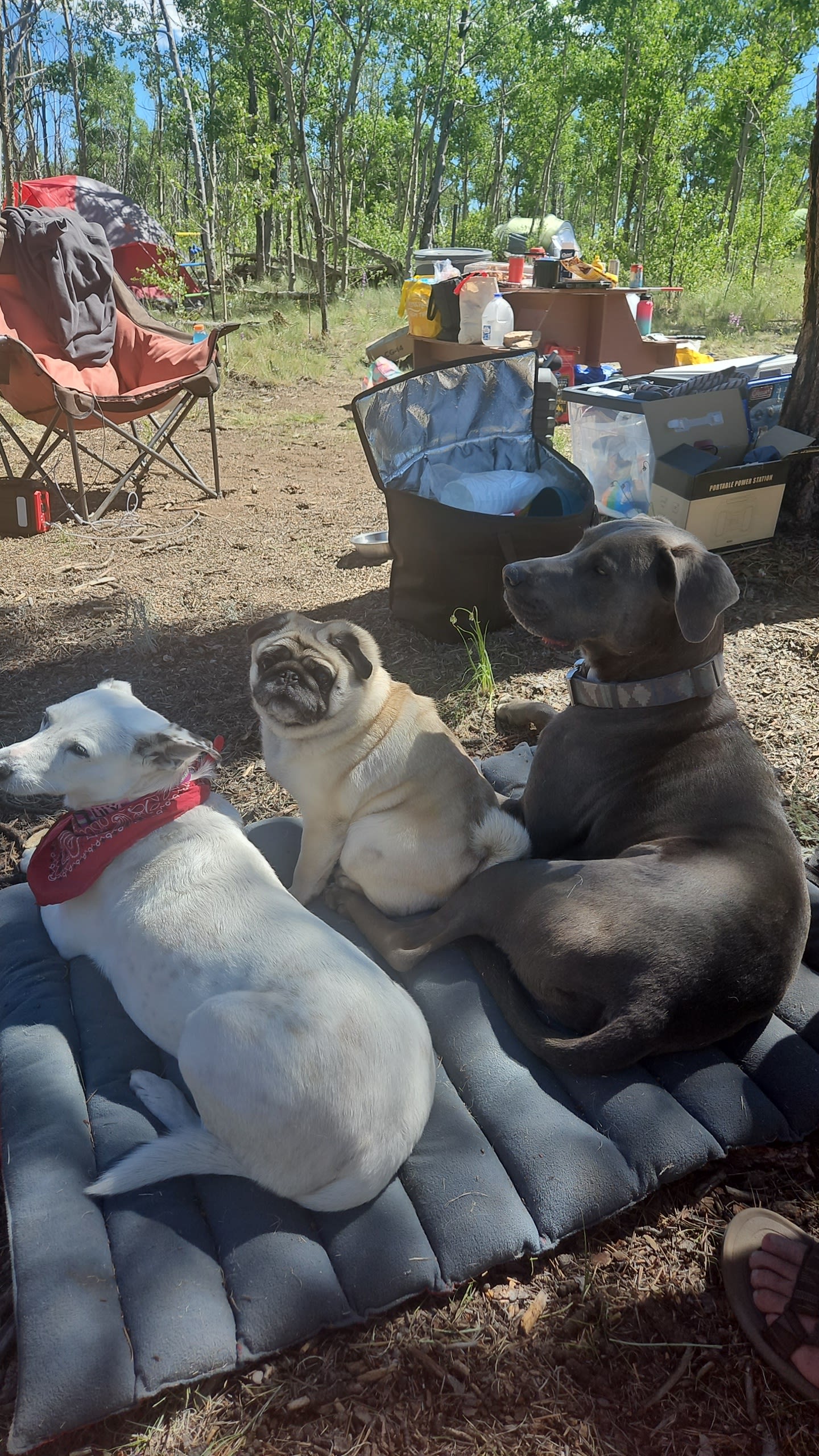 Gypsy Mountain Camping