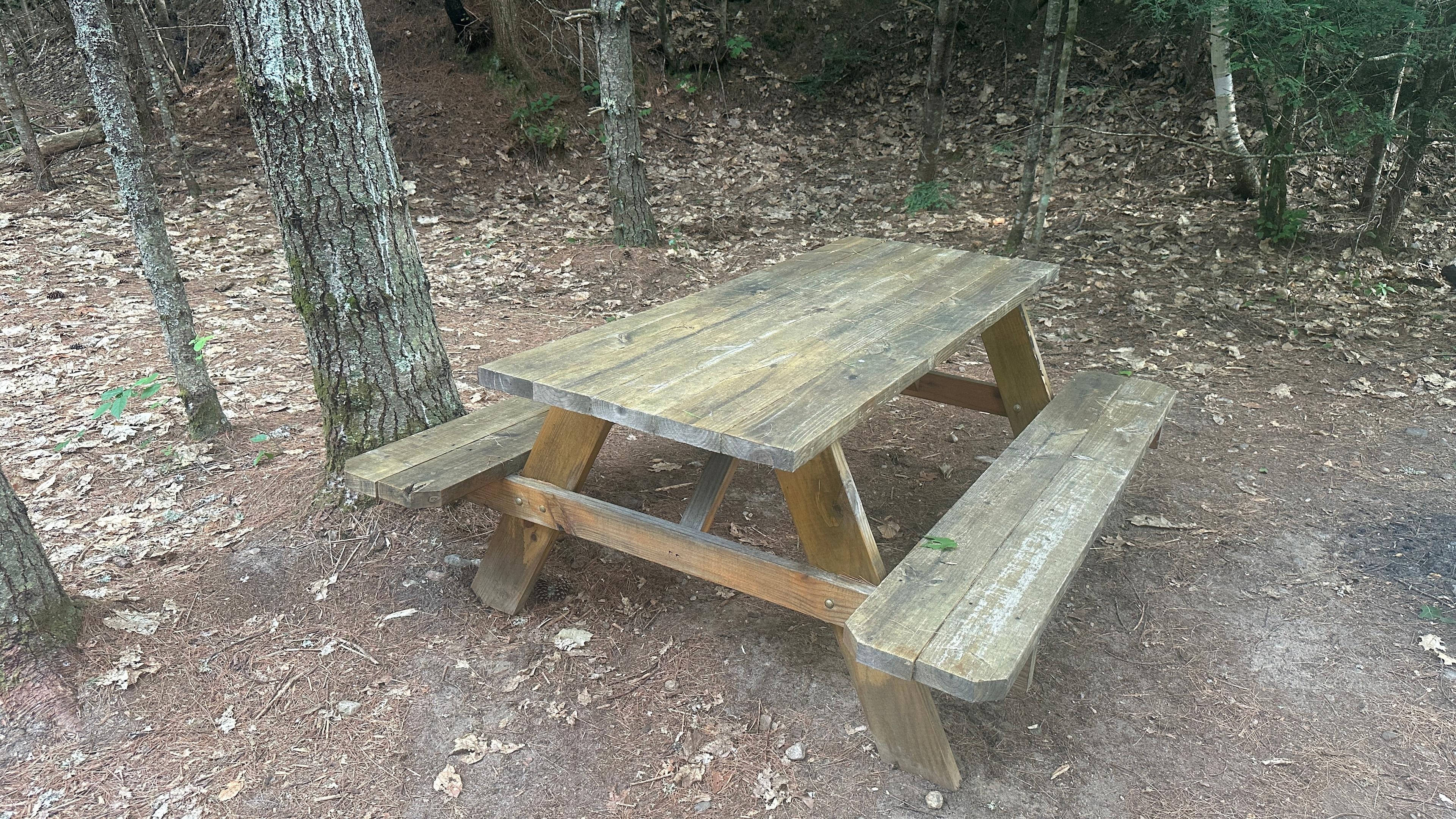 Watersrock Woods