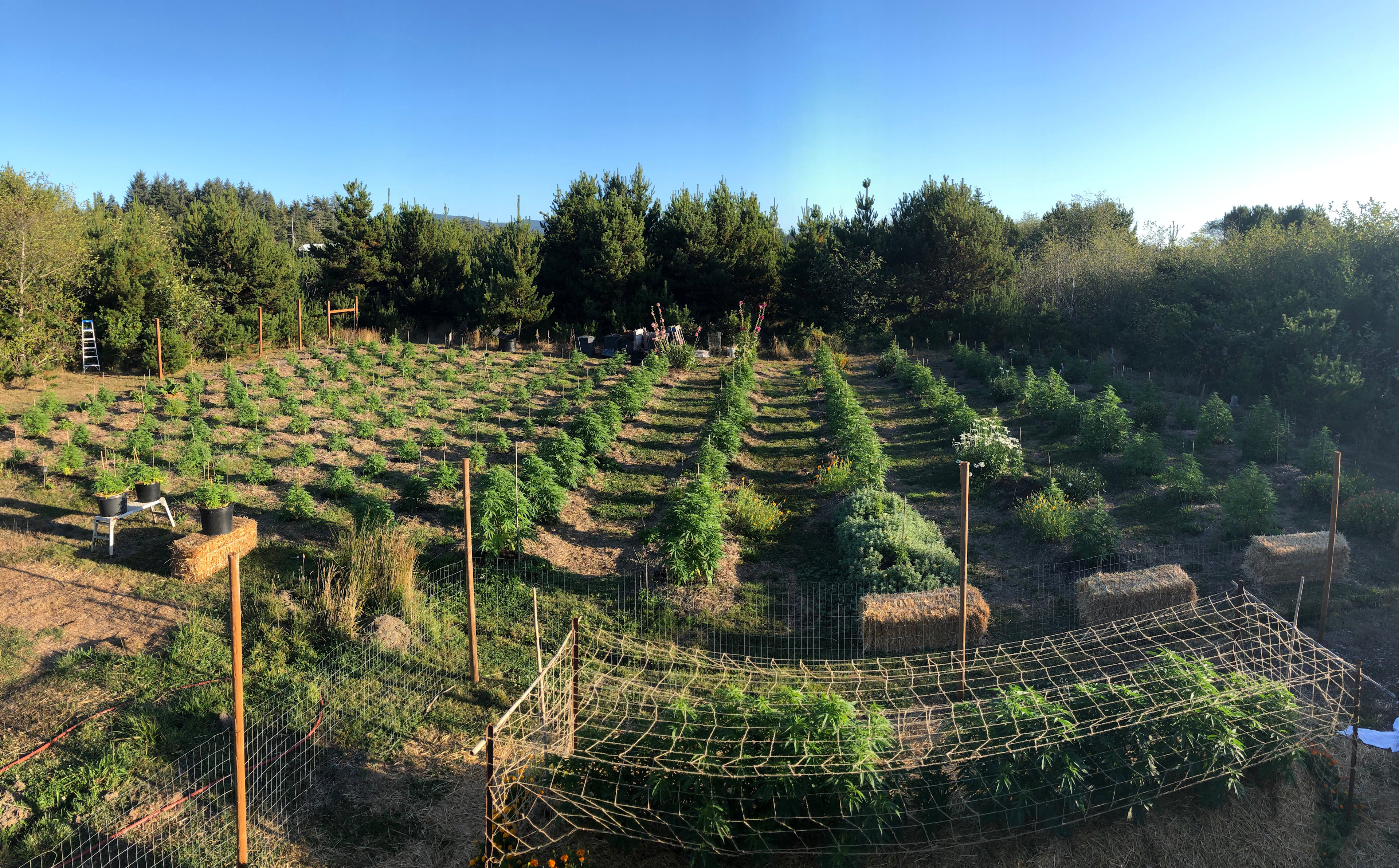 Coastal Farm Sanctuary