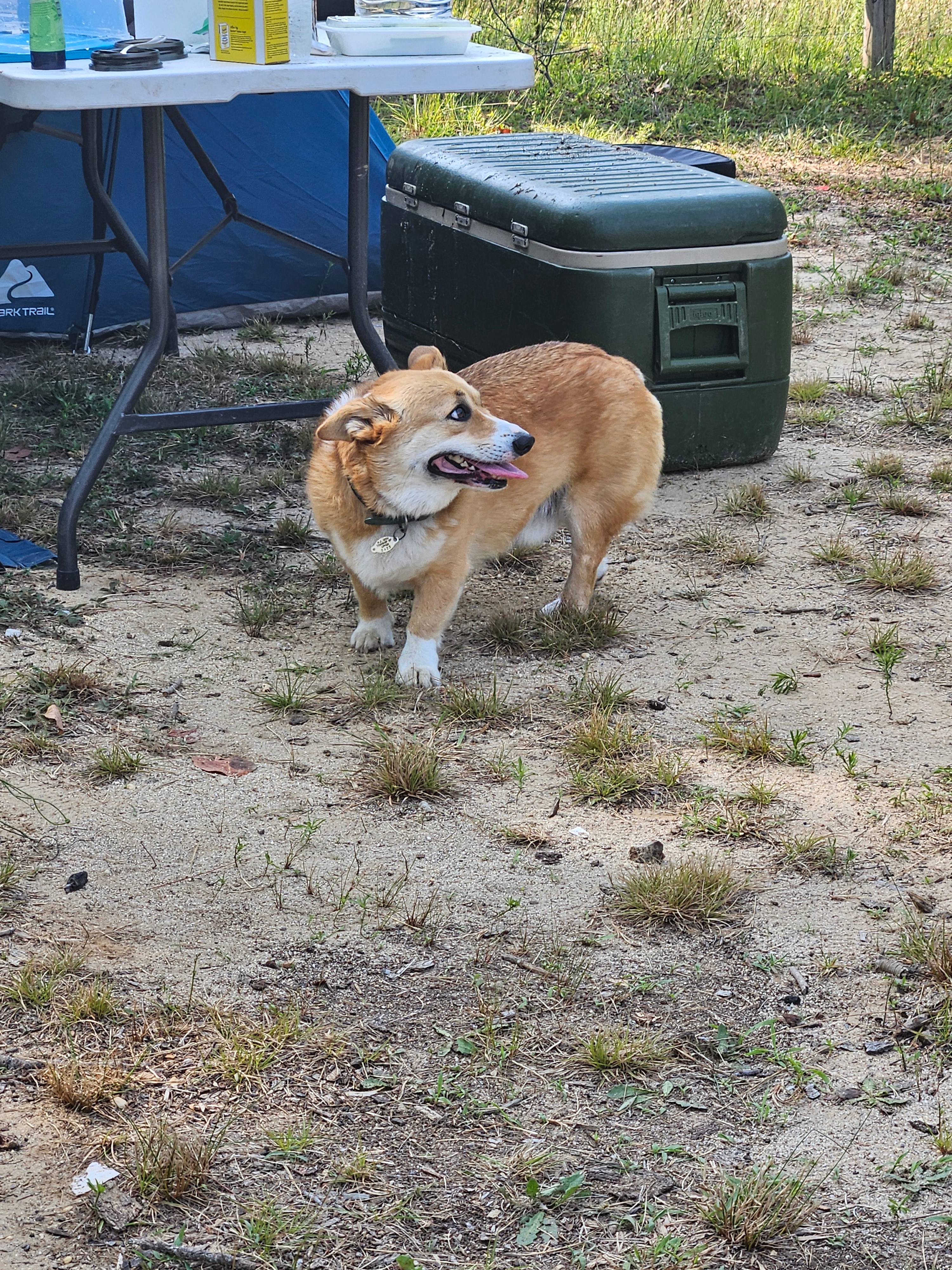 Shorty was our favorite visitor!! 
