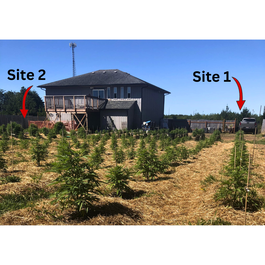 Coastal Farm Sanctuary