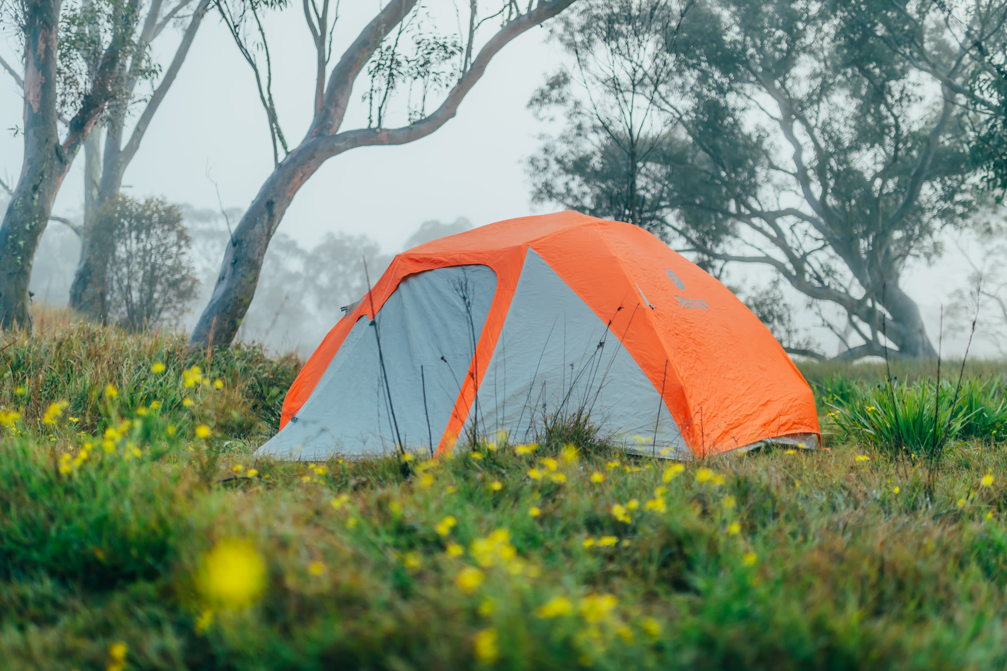tent in the fog