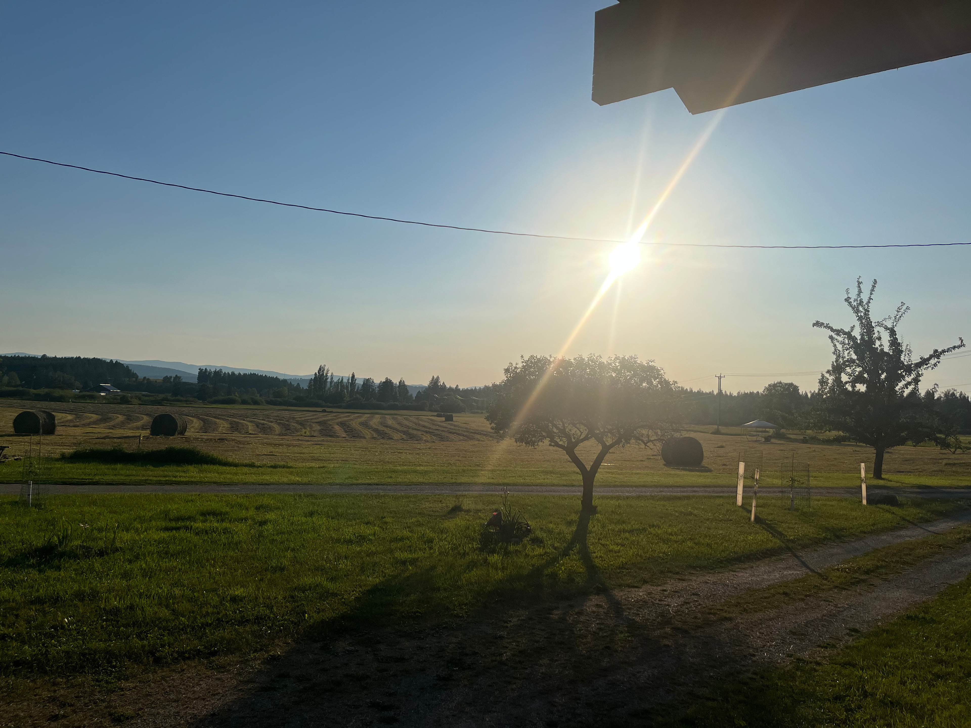 Under The Big Sky Festival Camping
