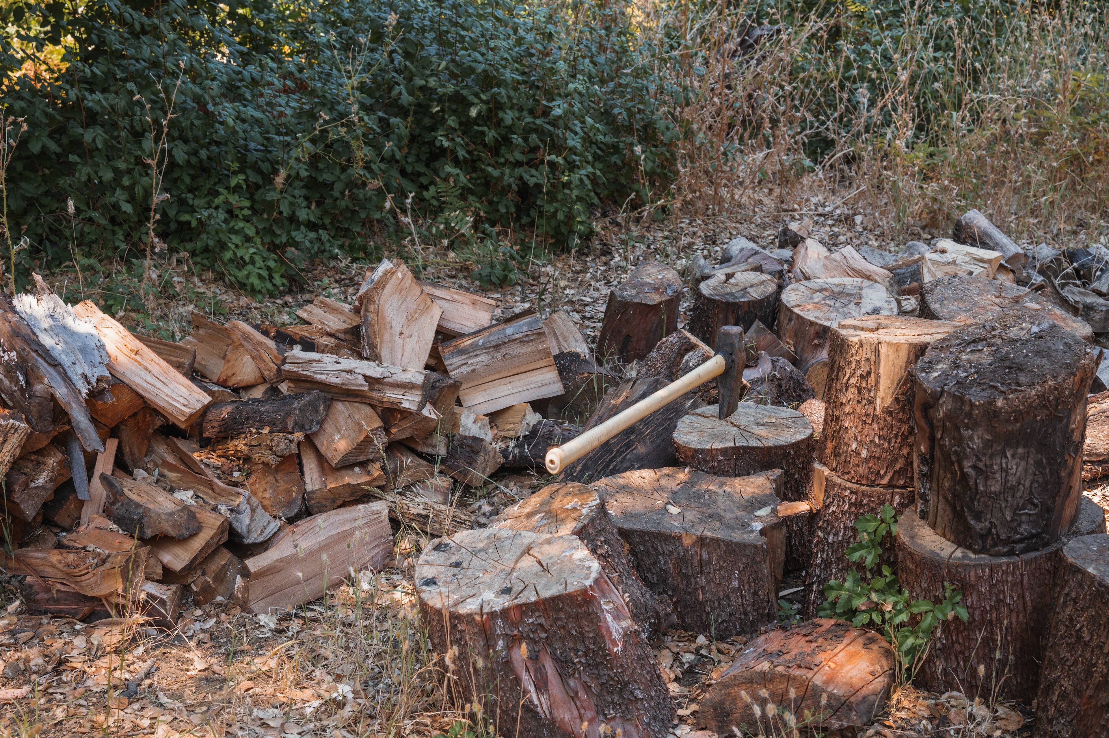 Private Sunny Redwoods Retreat