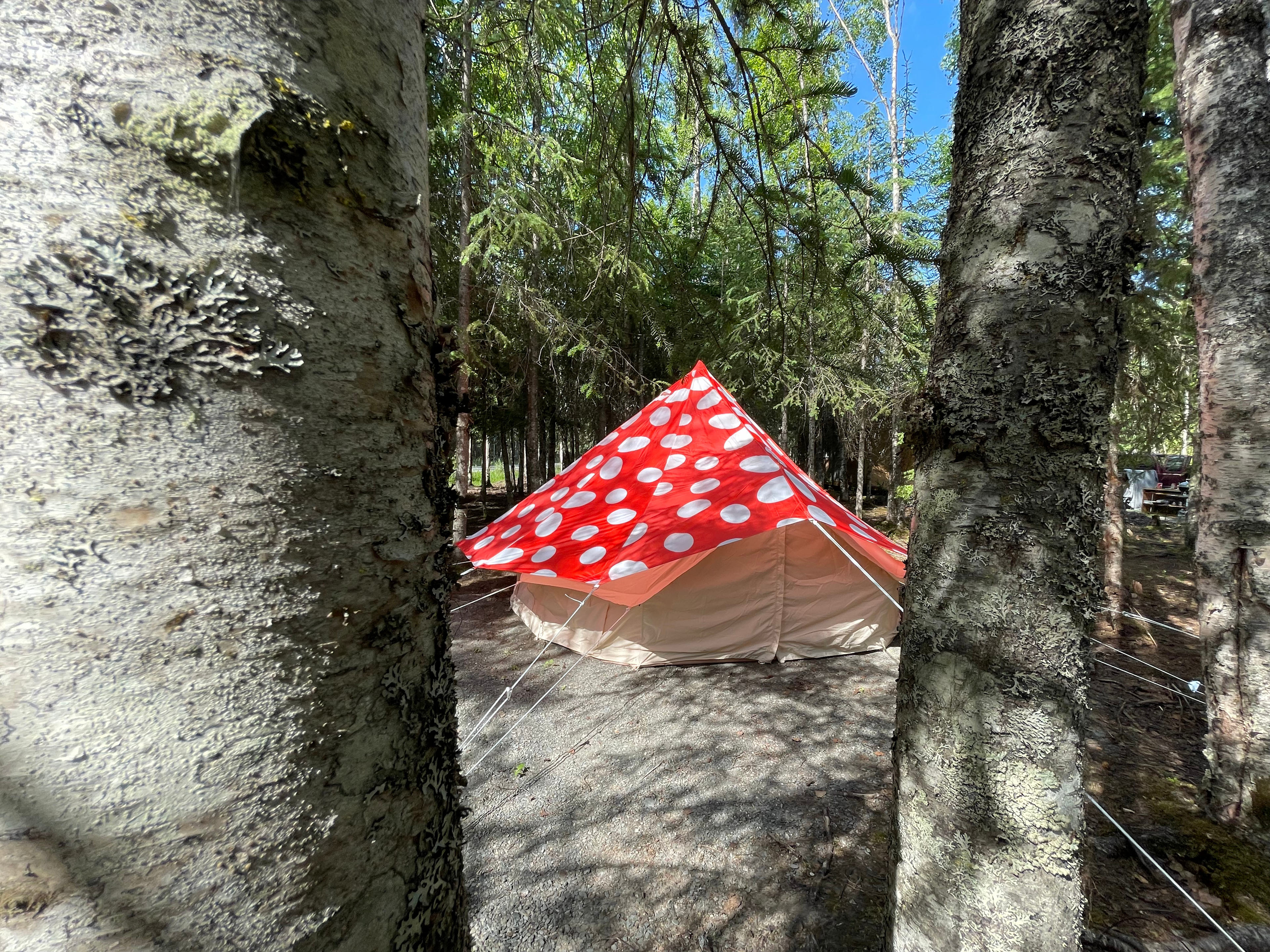 Gnome Dome & Mushroom Room Hope AK