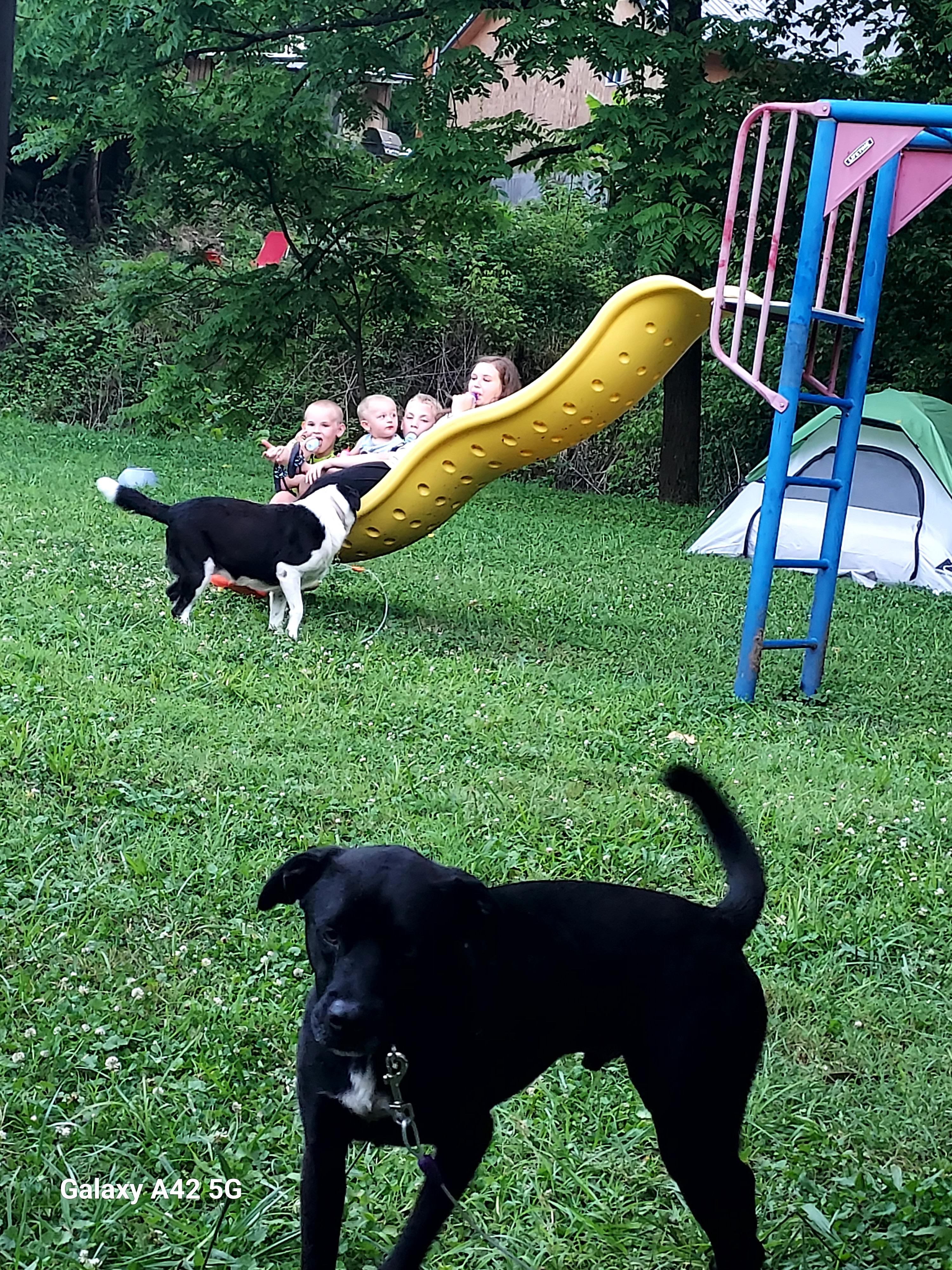 Out On The Creek Campground & RV