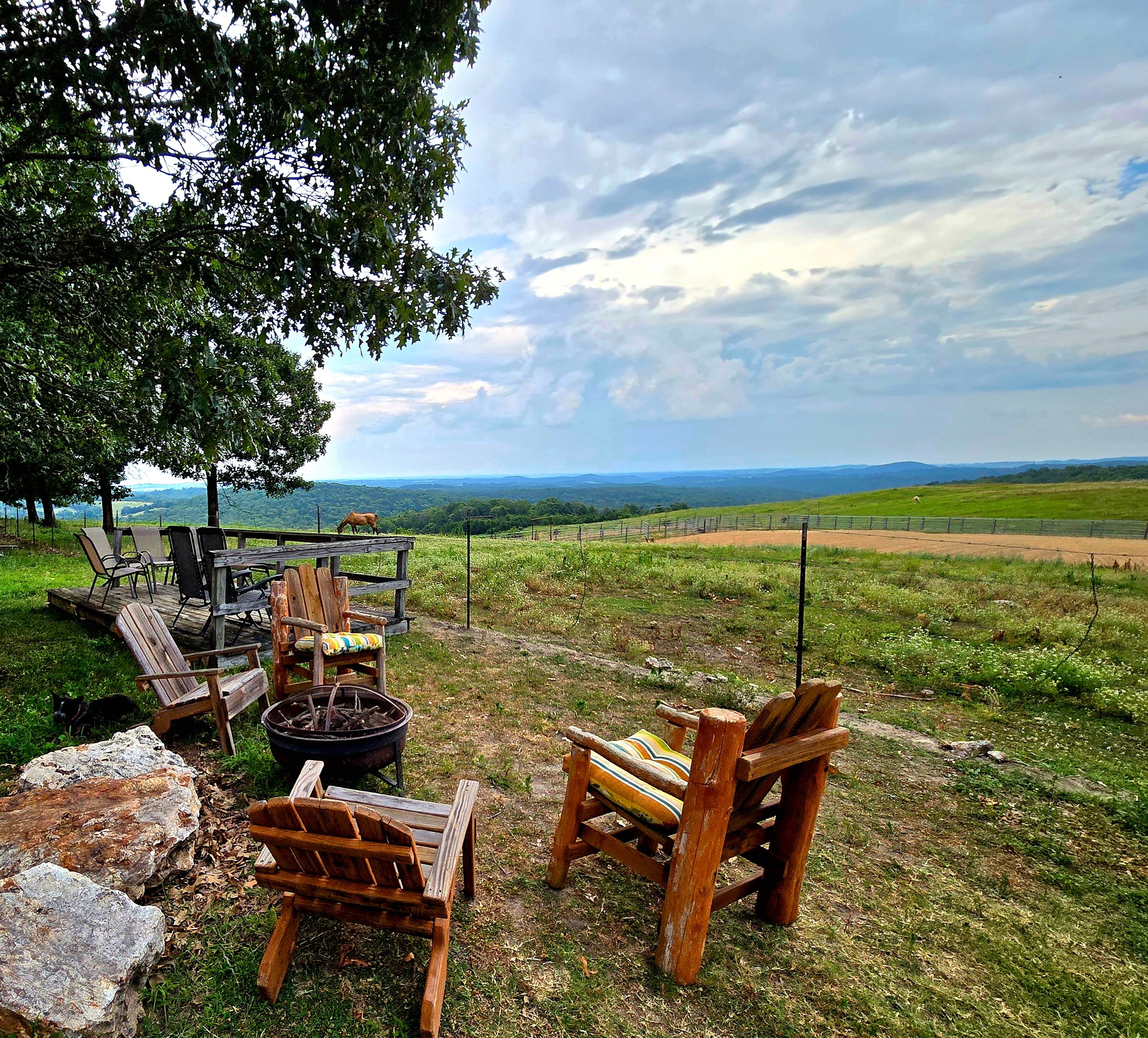 Dally Ridge Ranch - Barnabus