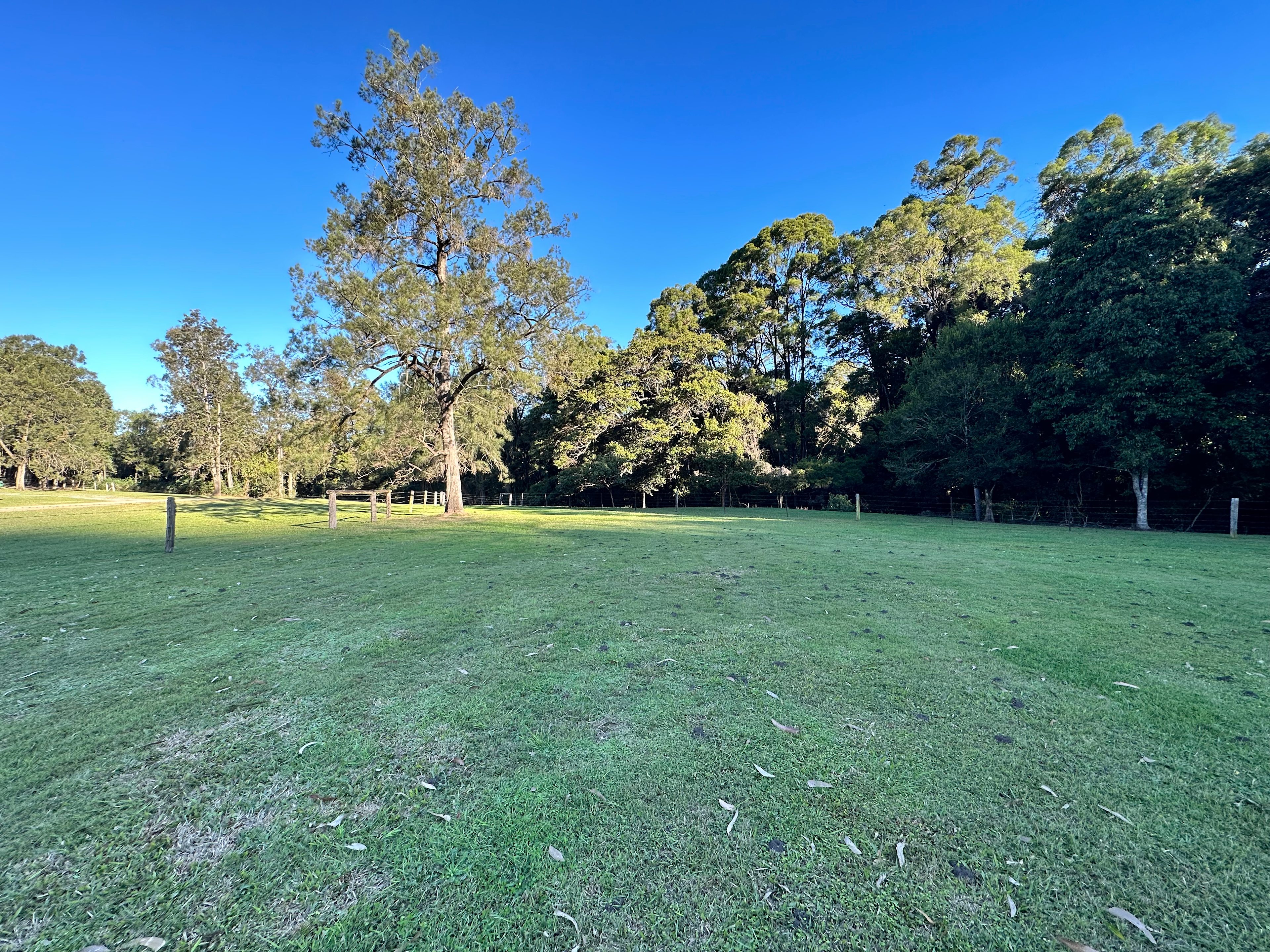 Windyridge Creekside Camp