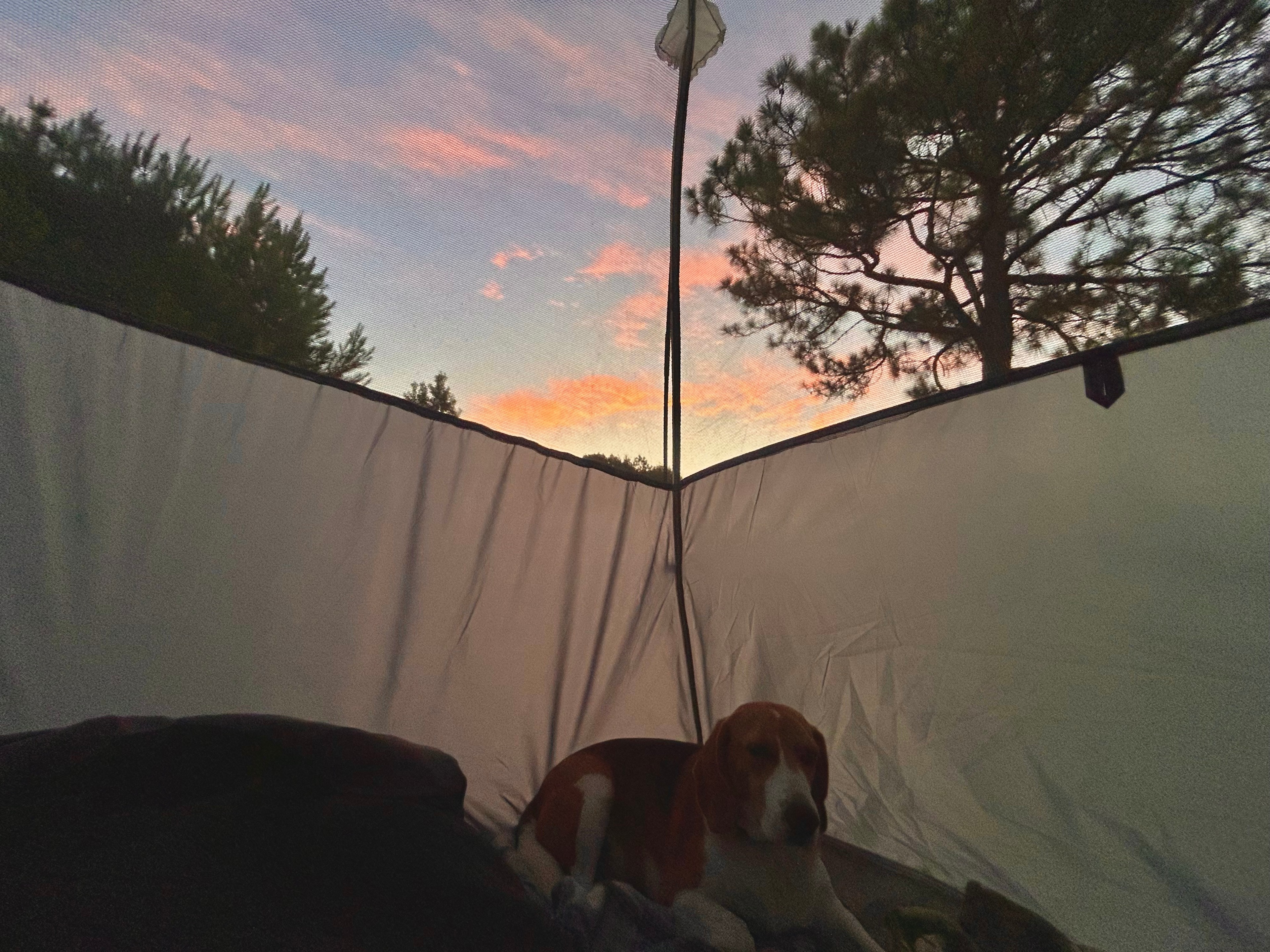 Piney Hills Campground