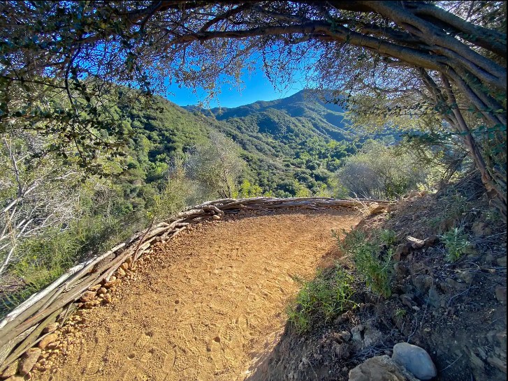 Topanga Oasis