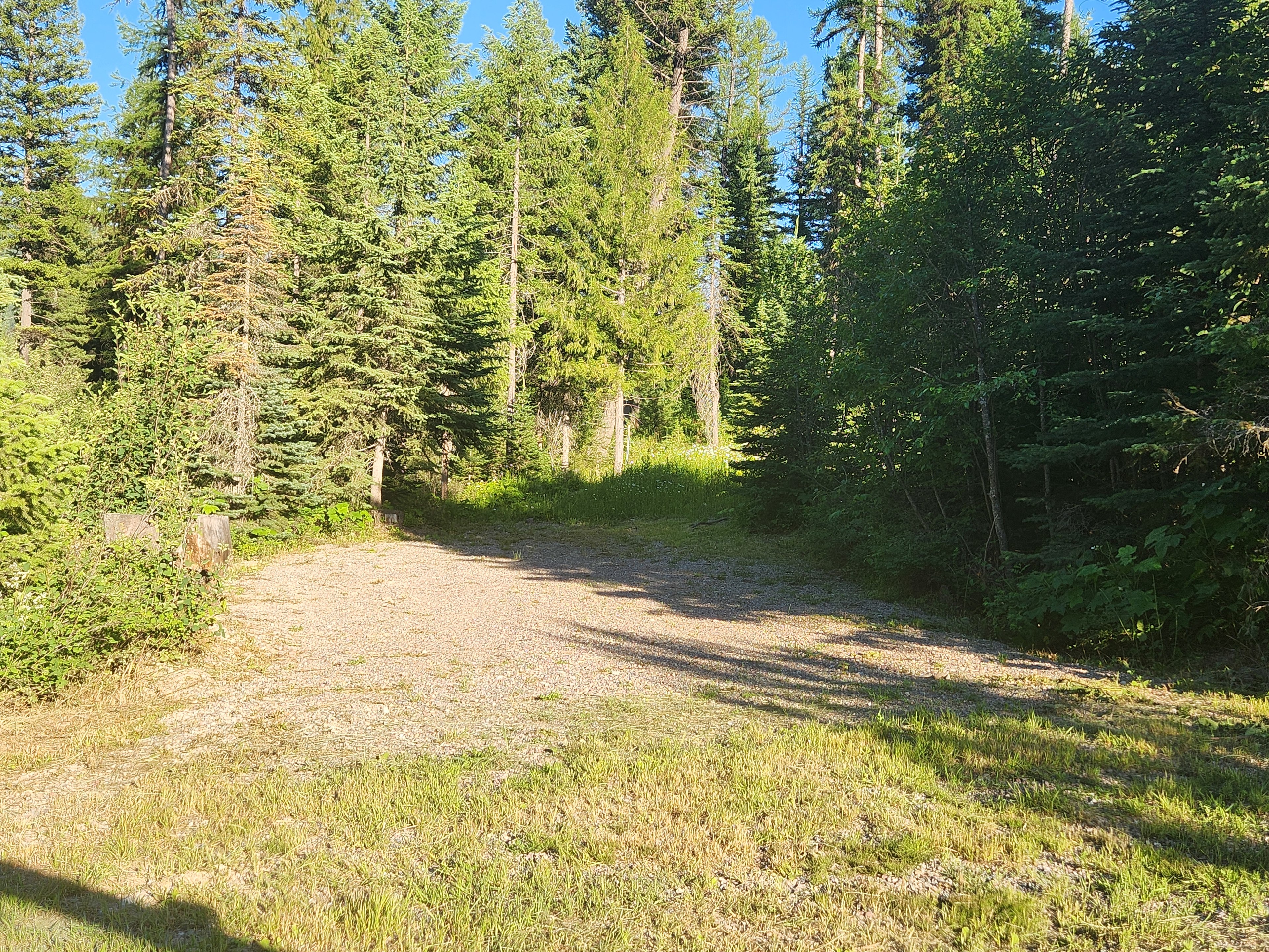 The Wood Lily at Desert Base Camp