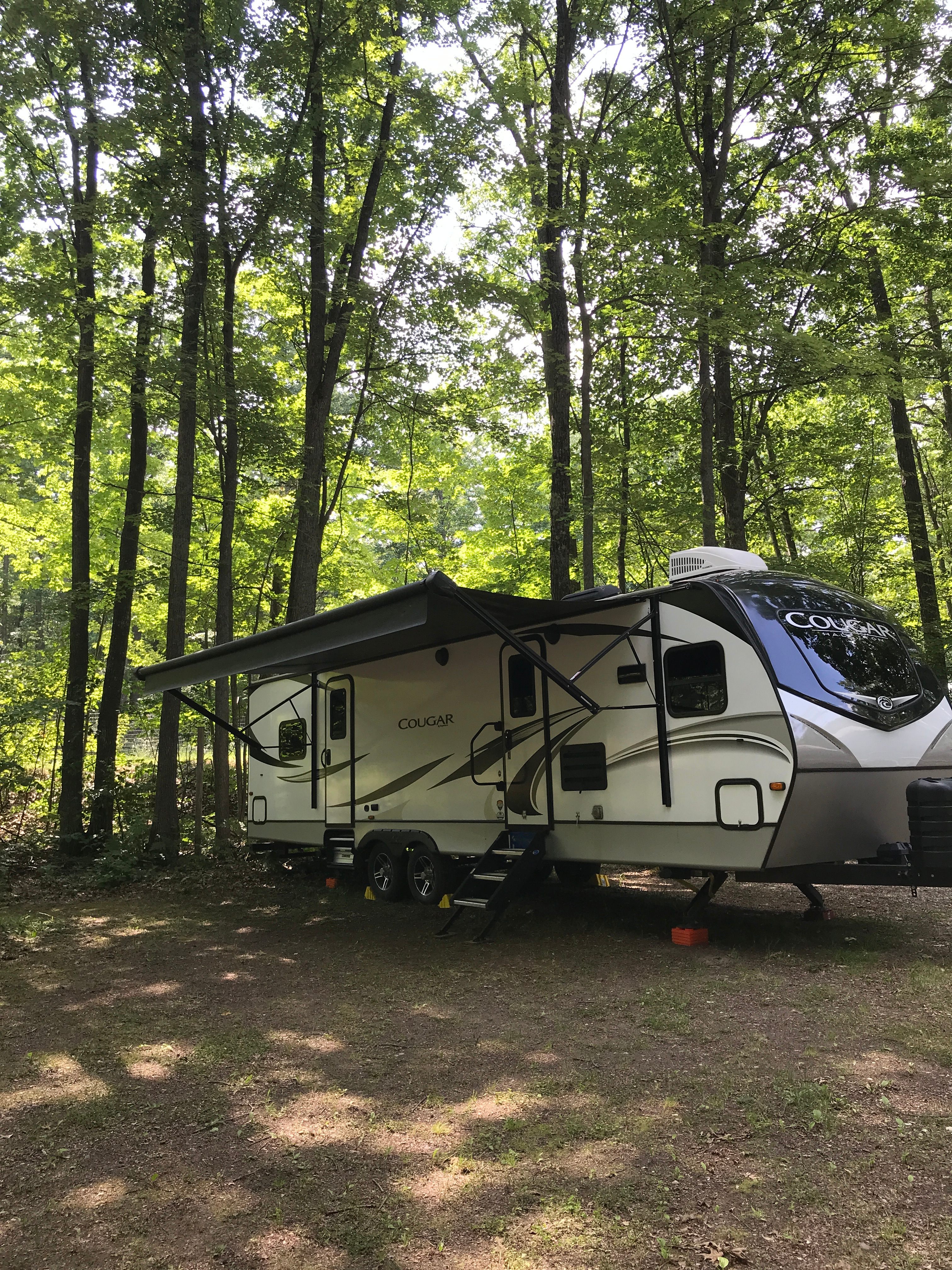 Among The Trees Lewiston Mi
