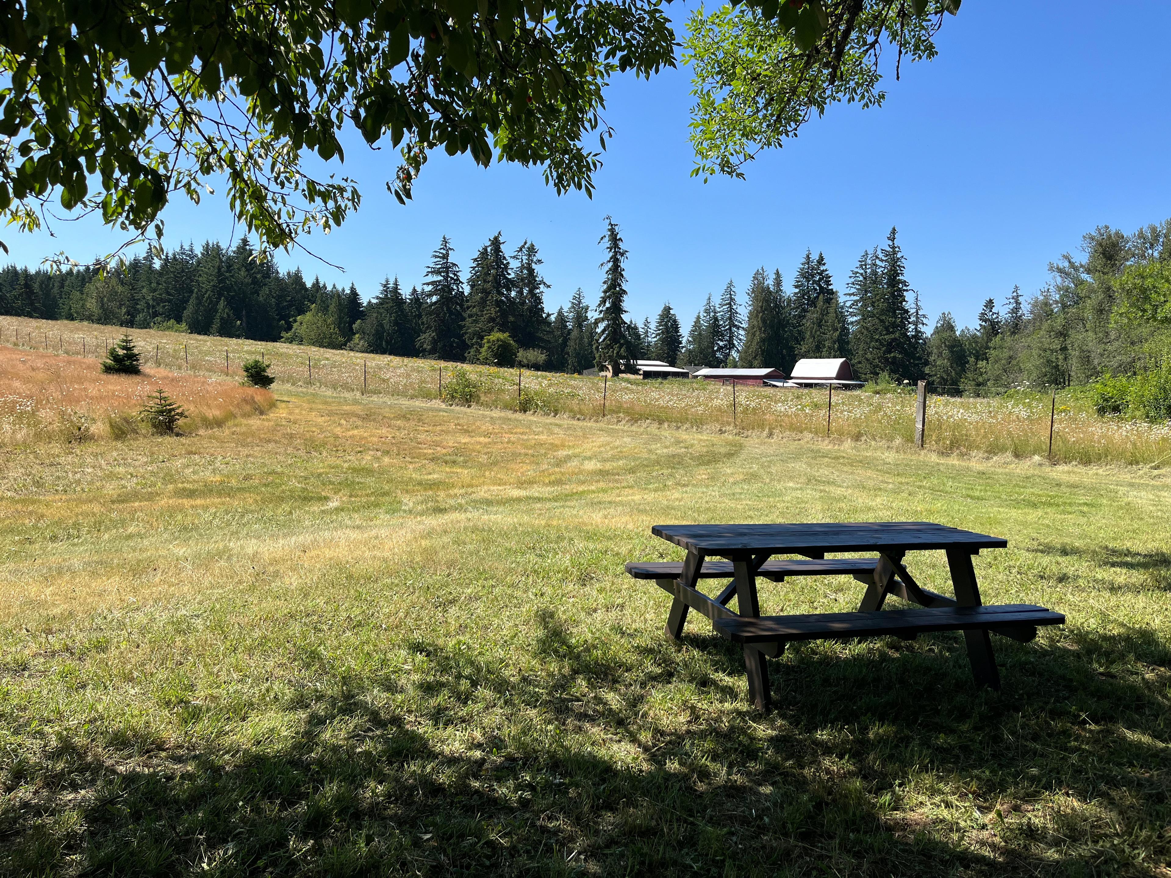 View looking out from the campsite to the neighboring farm.